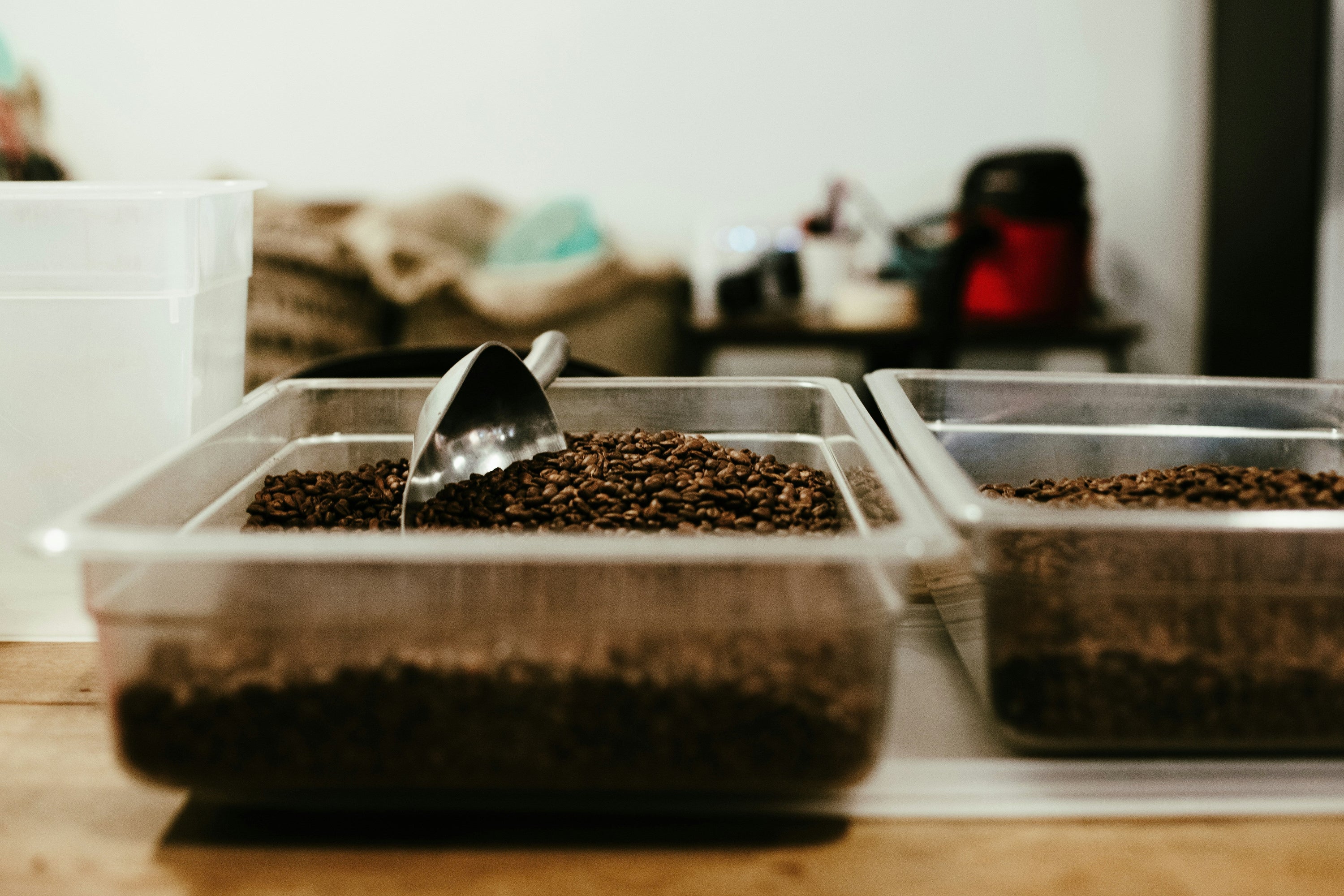 Arabica Varietals in Specialty Coffee