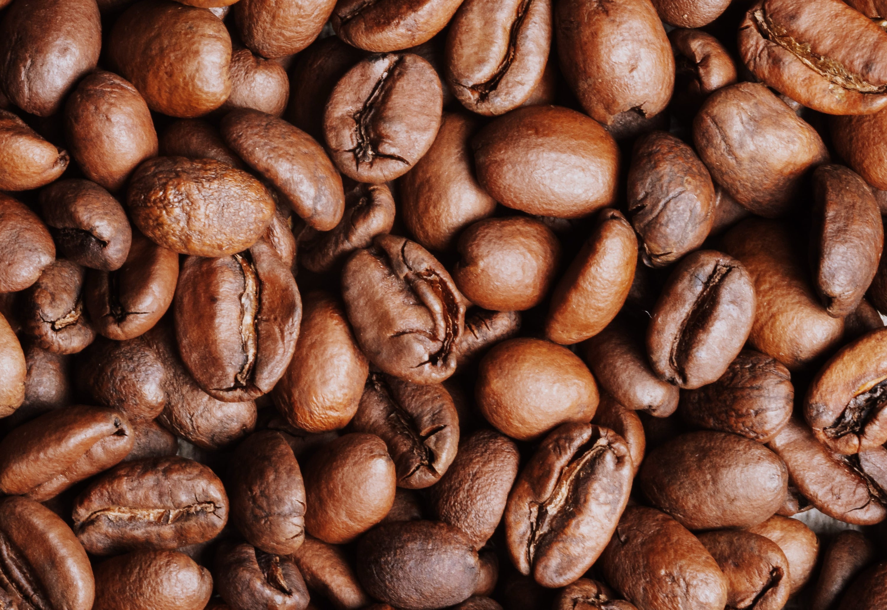 Light Roast Coffee vs. Dark Roast: What’s the Difference in Taste, Caffeine & Quality?
