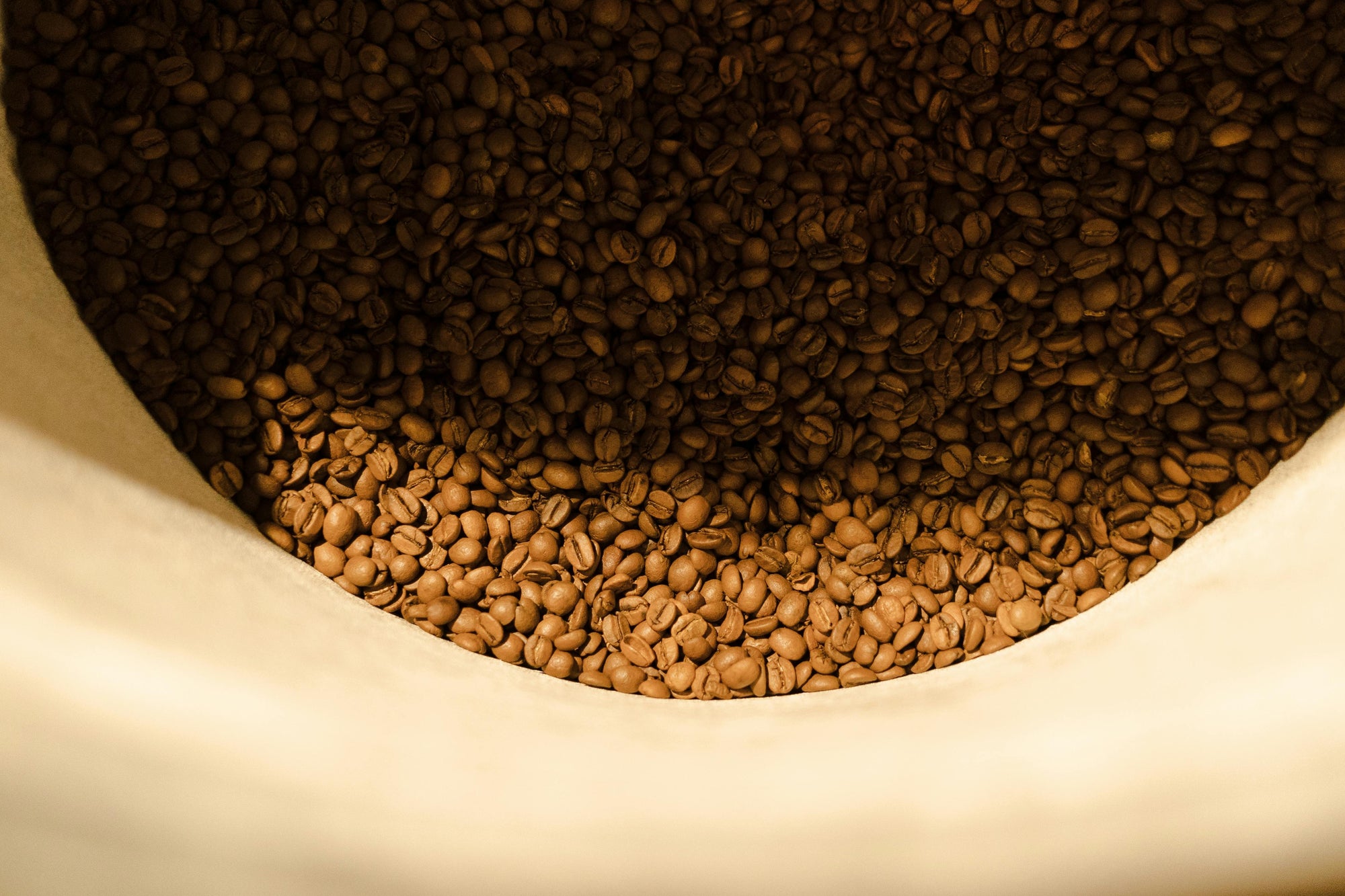 light roast coffee beans at bottom of white barrel