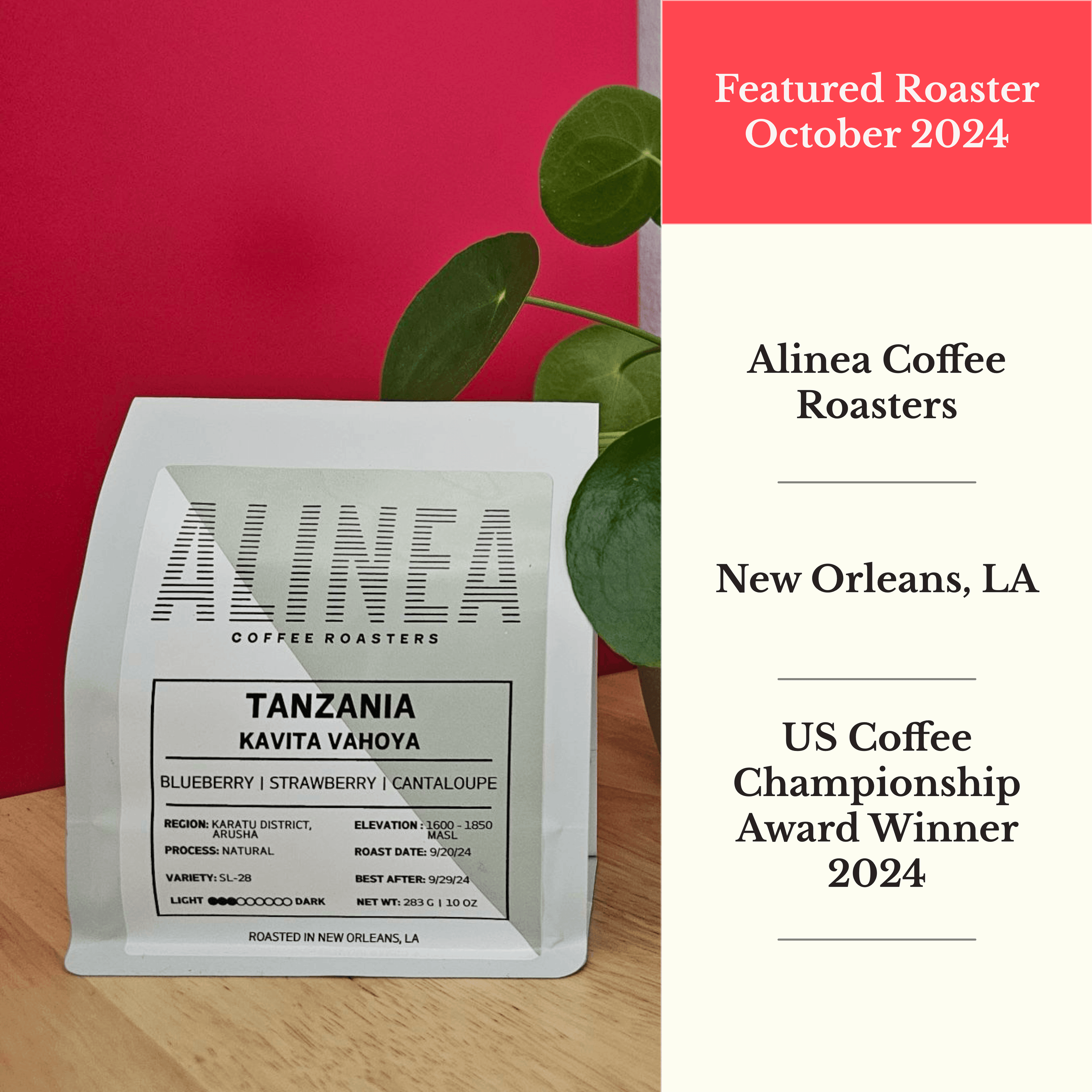 October 2024: Alinea Coffee Roasters. US Coffee Championships Award Winner 2024