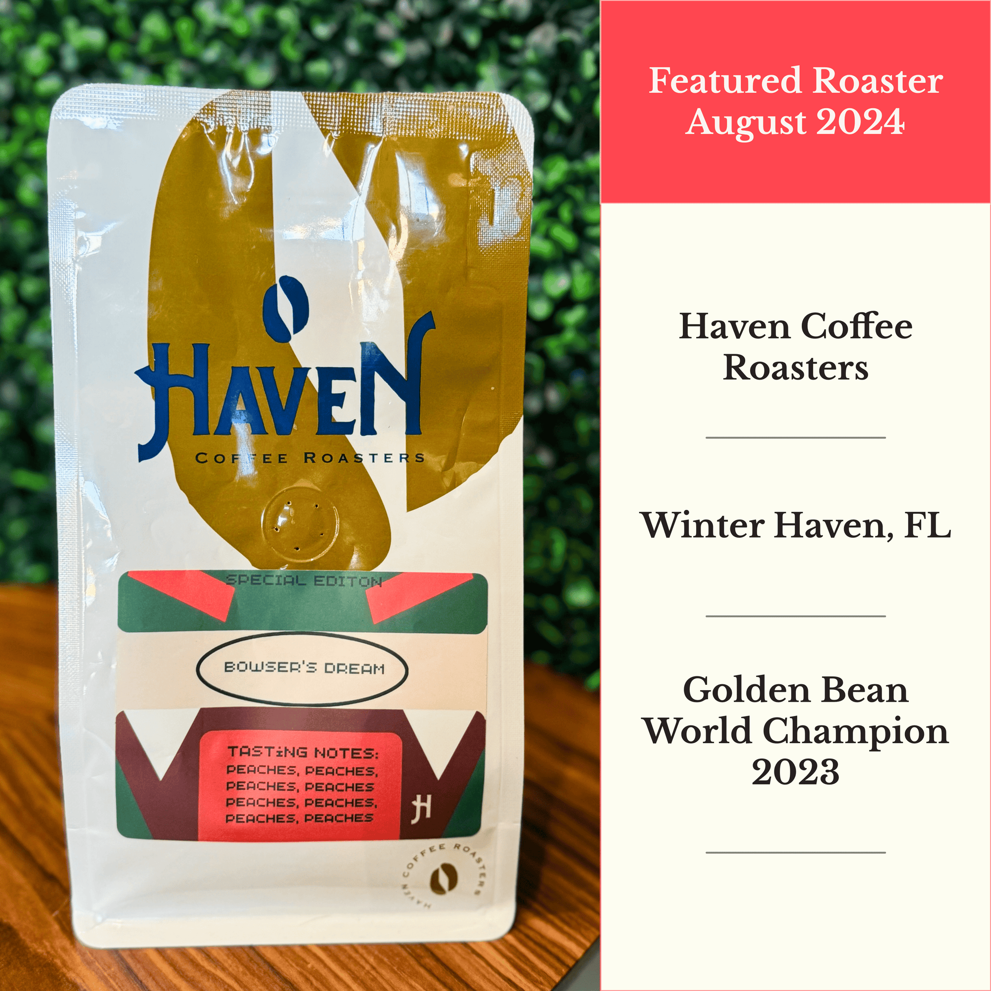 August 2024: Haven Coffee Roasters. Golden Bean World Champion 2023