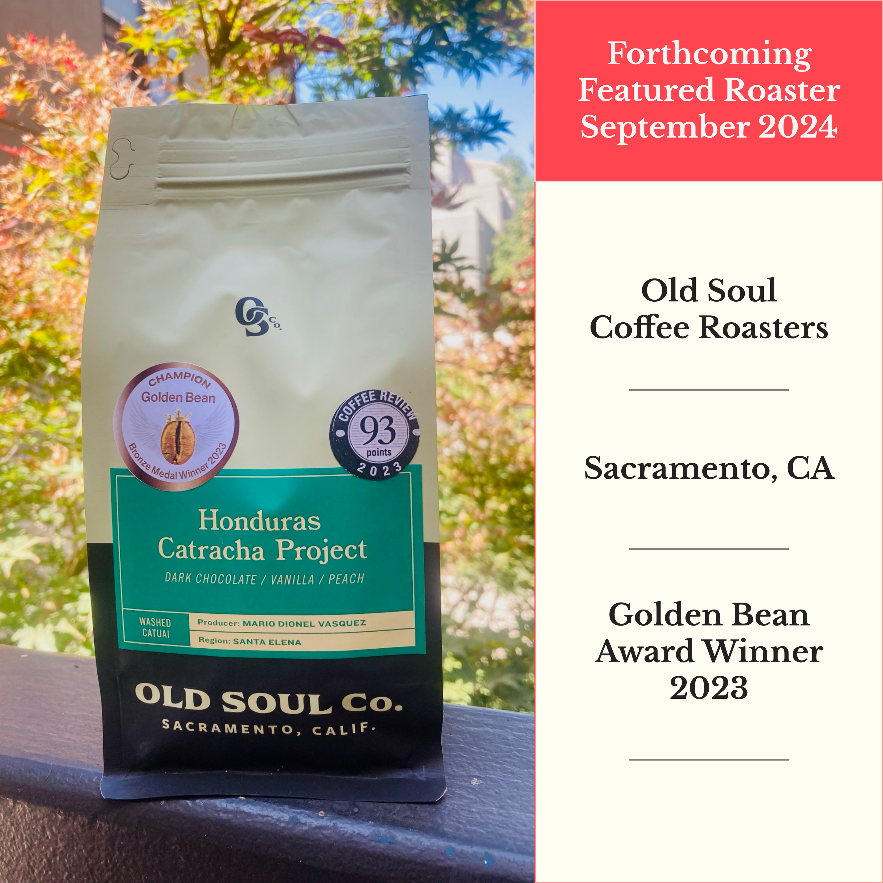 September 2024: Old Soul Coffee Roasters. Golden Bean Award Winner 2023