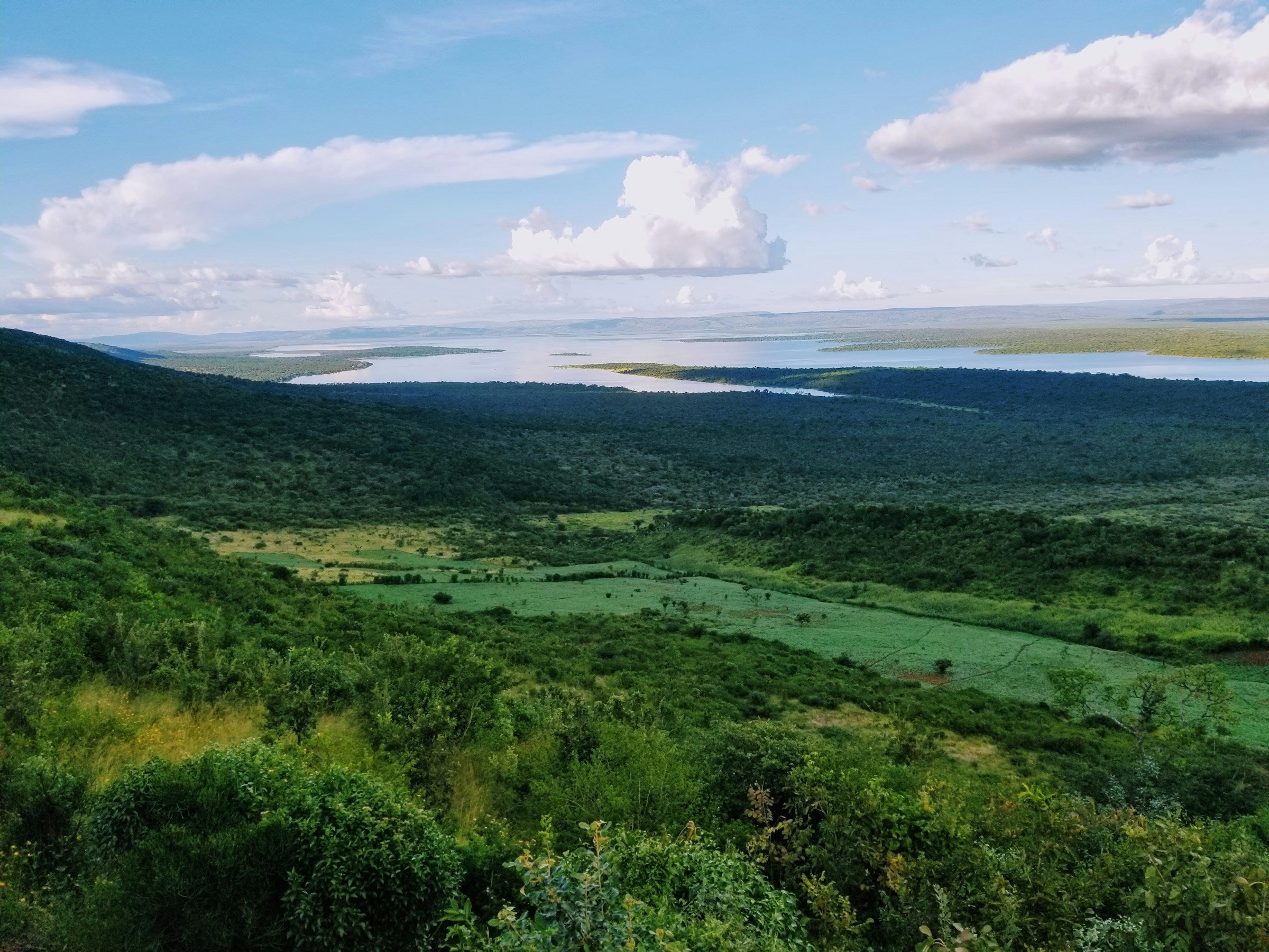 Eastern Rwanda verdant landscape