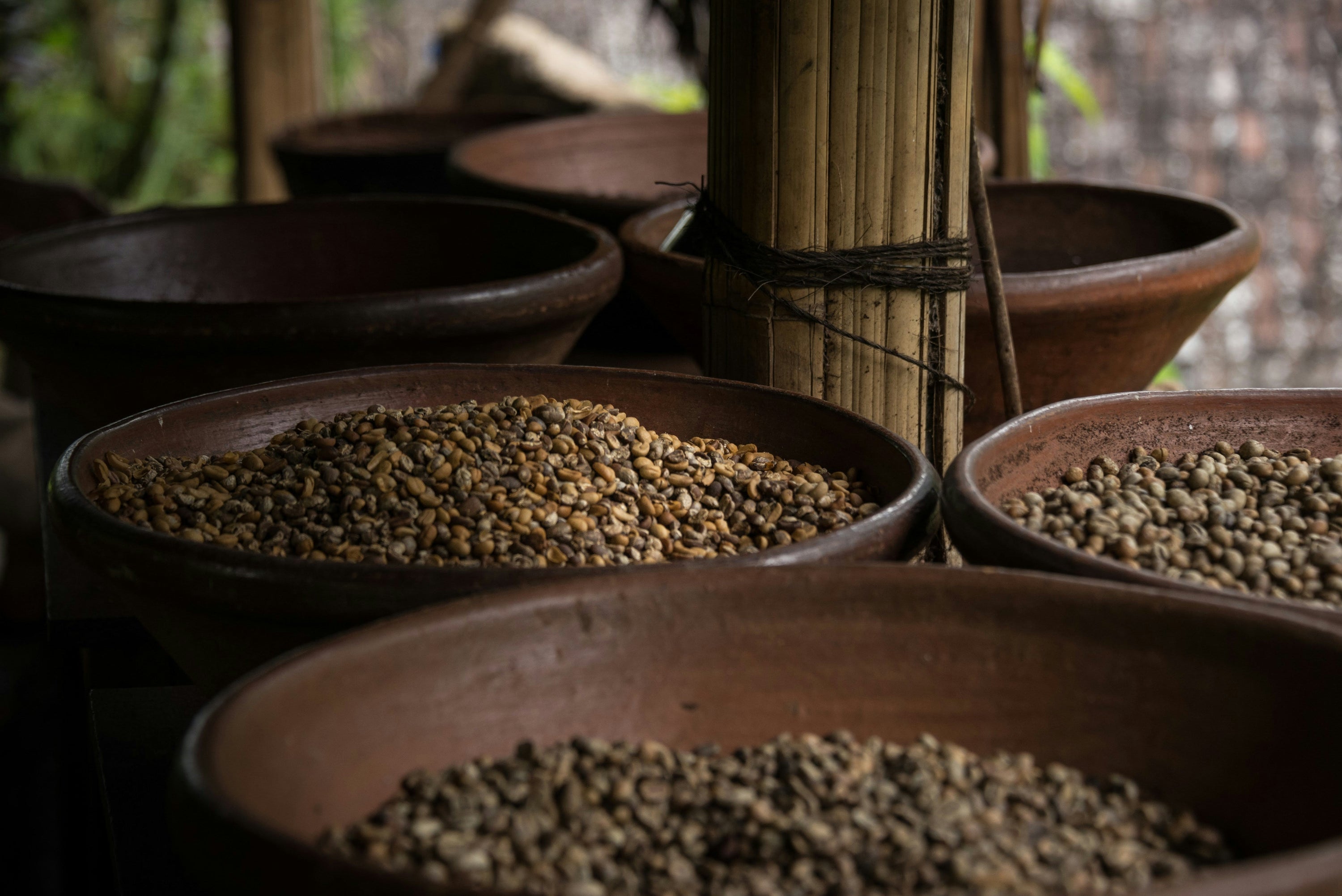 Indonesia: Wet-Hulling, Sumatra, and Specialty Coffee's Most Distinctive Category