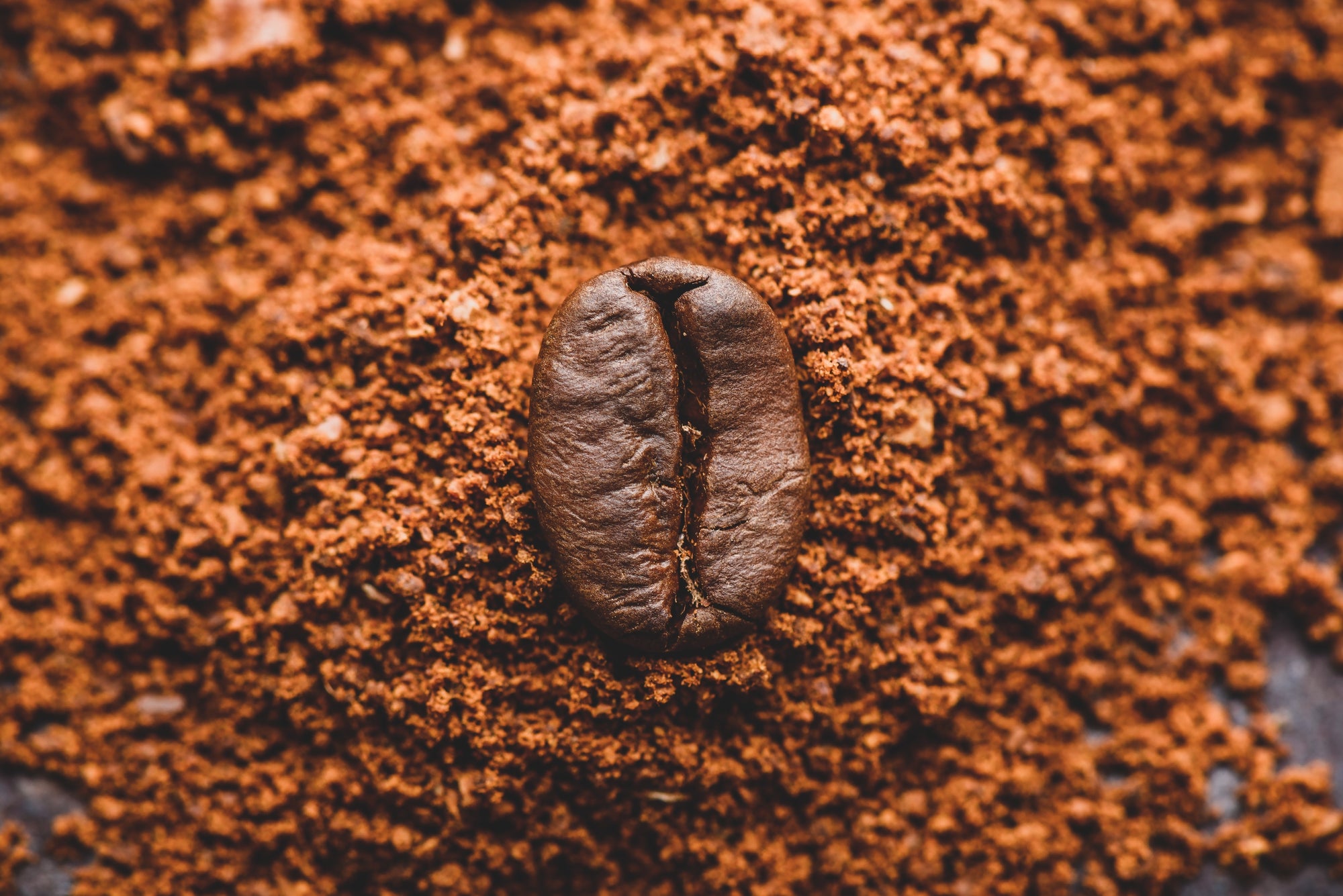 Guide to Grinding Coffee Beans for Specific Brewing Options