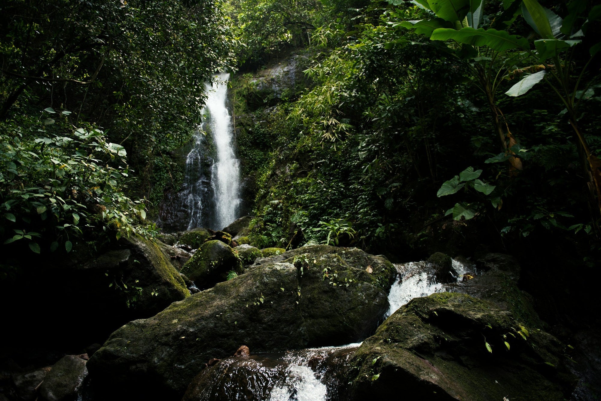 Costa Rica Forest Waterfall