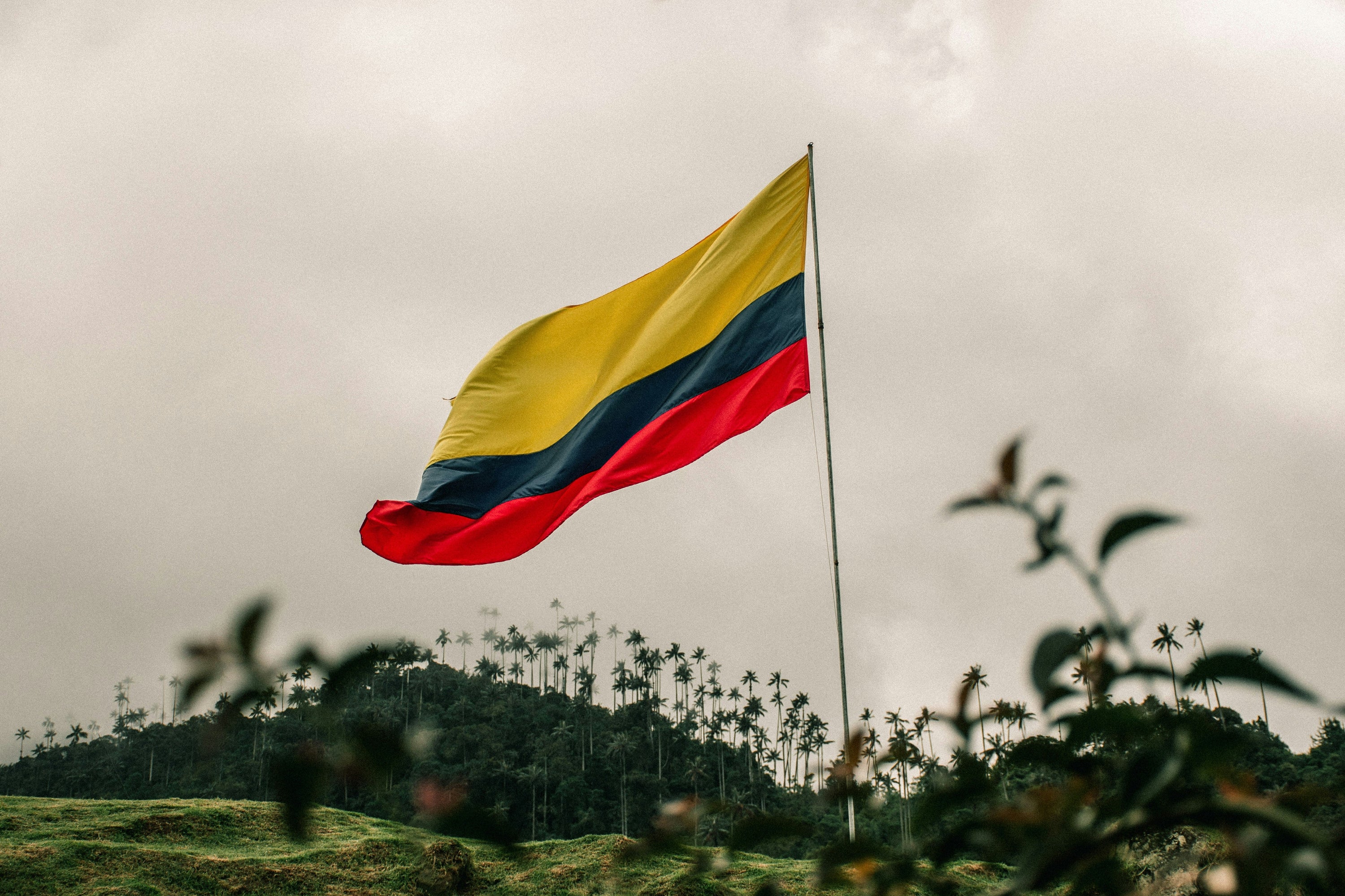 Colombia flag against a verdant landscape