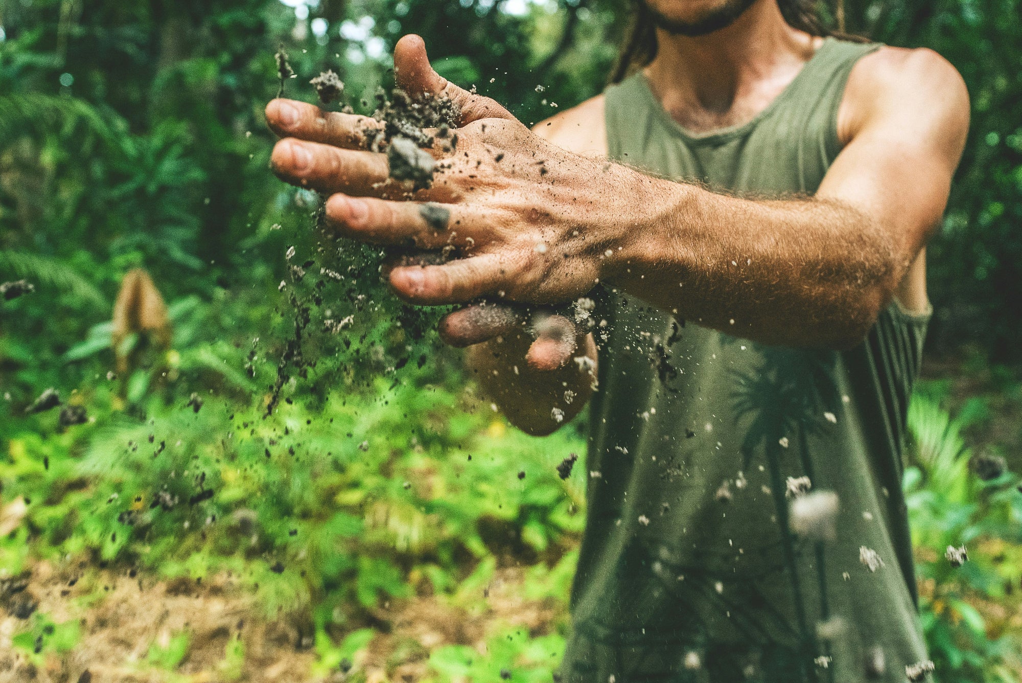 Why is Terroir So Important In Coffee Production?