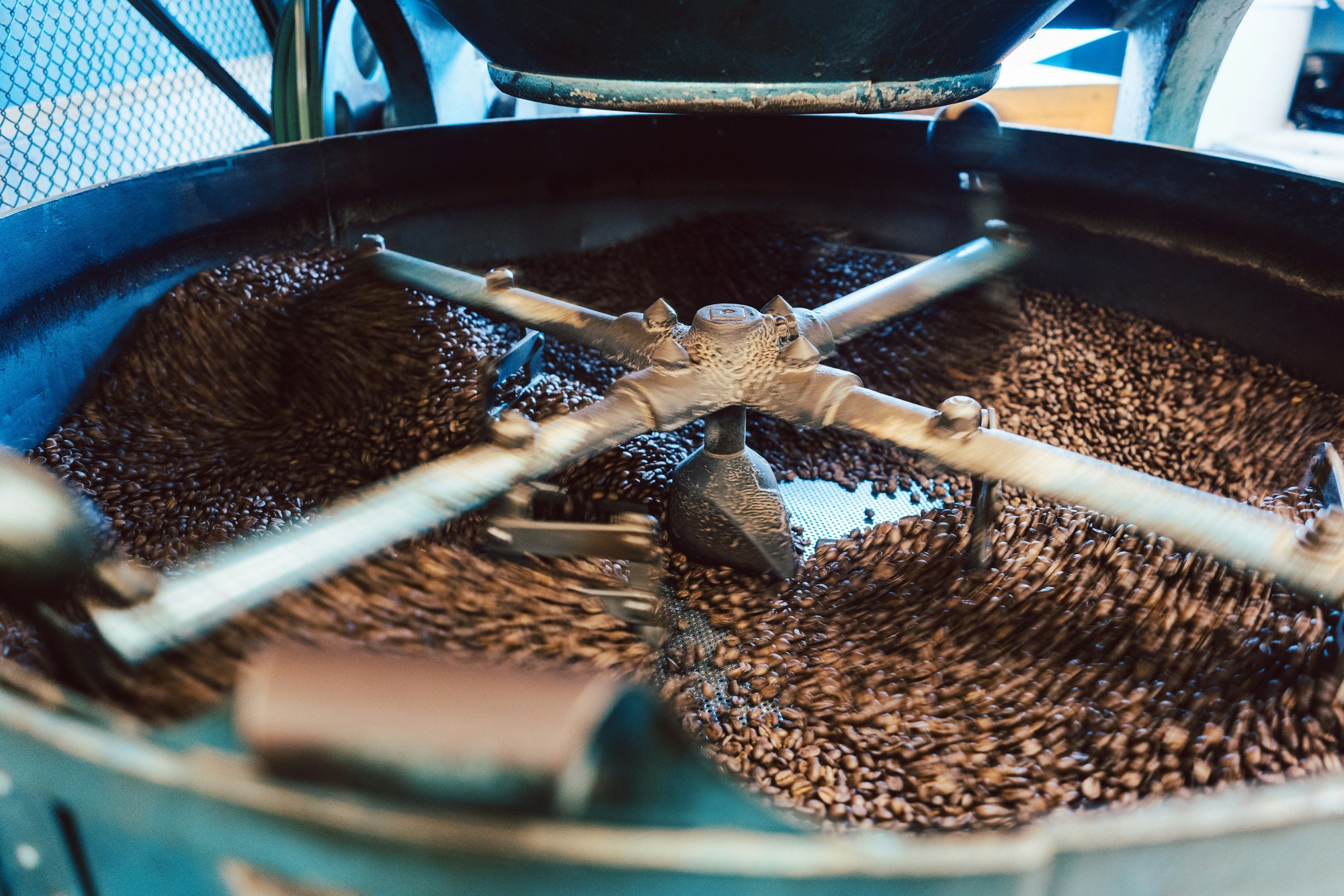 roasted coffee beans in cooling tray
