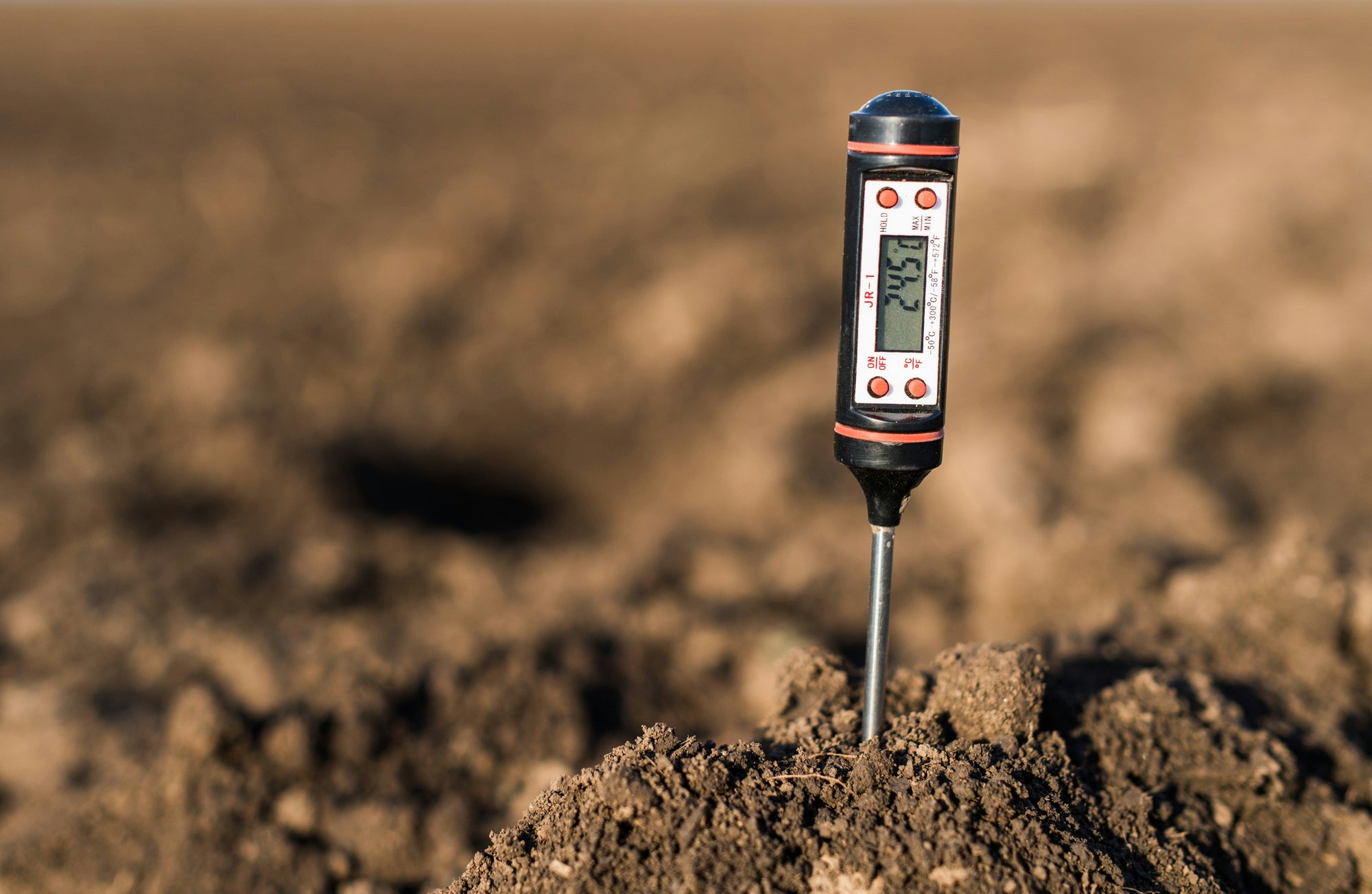 food thermometer inserted into soil