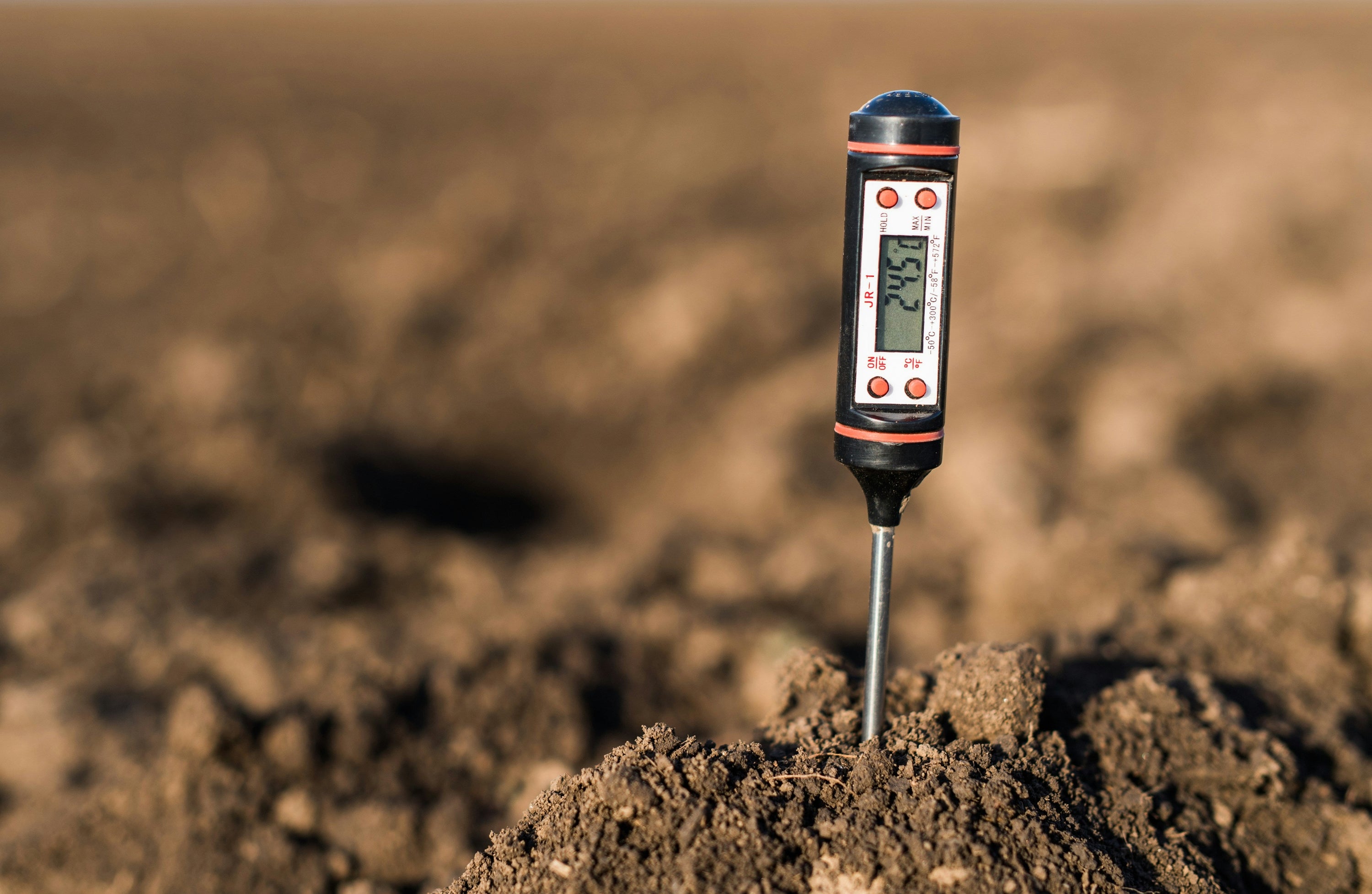 food thermometer inserted into soil