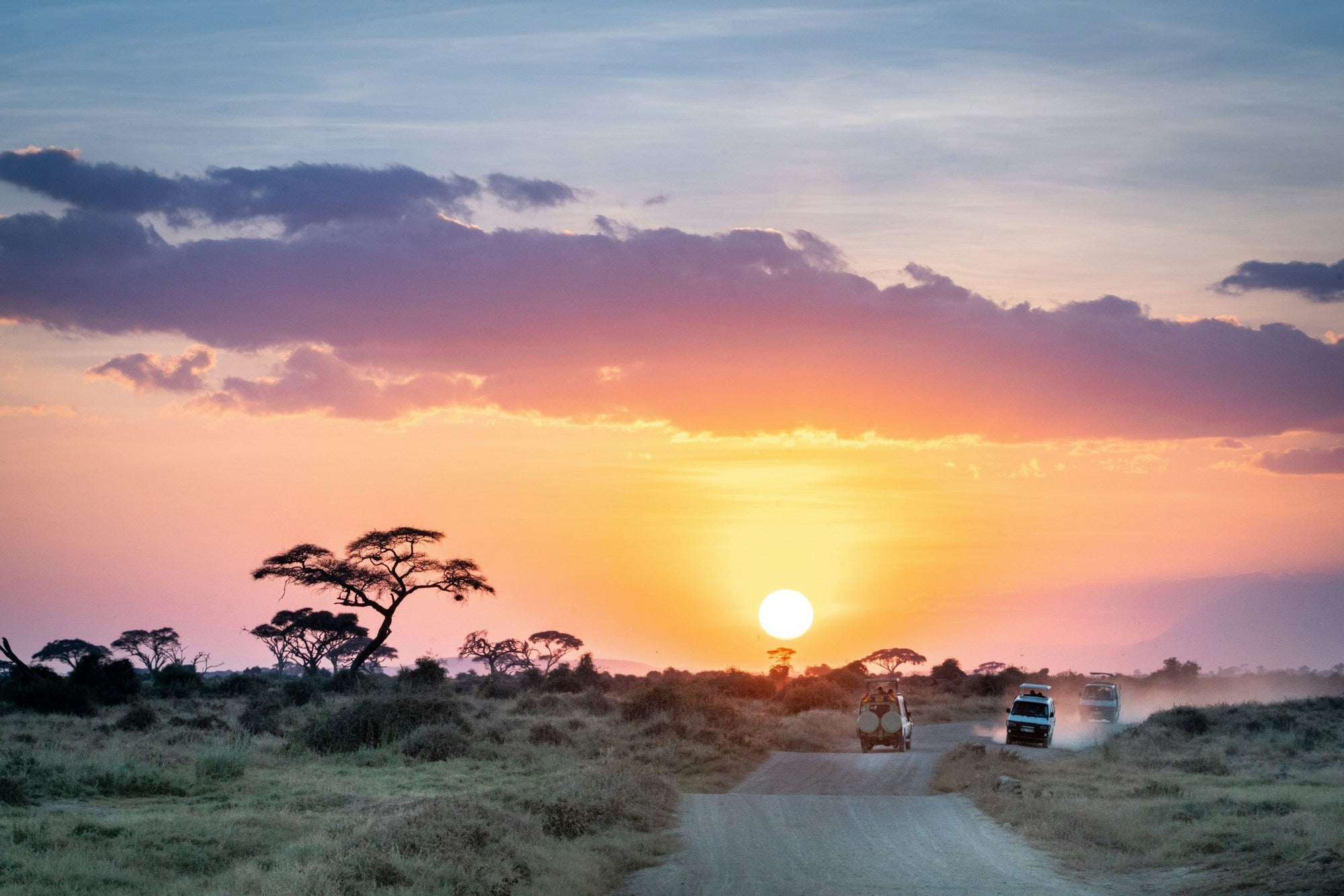 Kenyan sunset safari