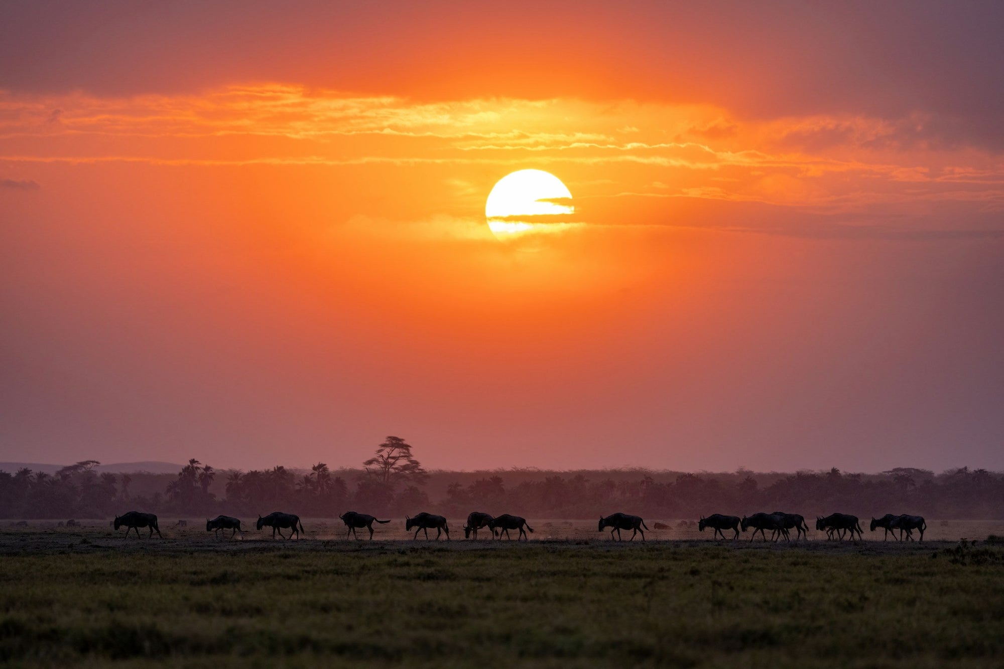 Kenyan sunset