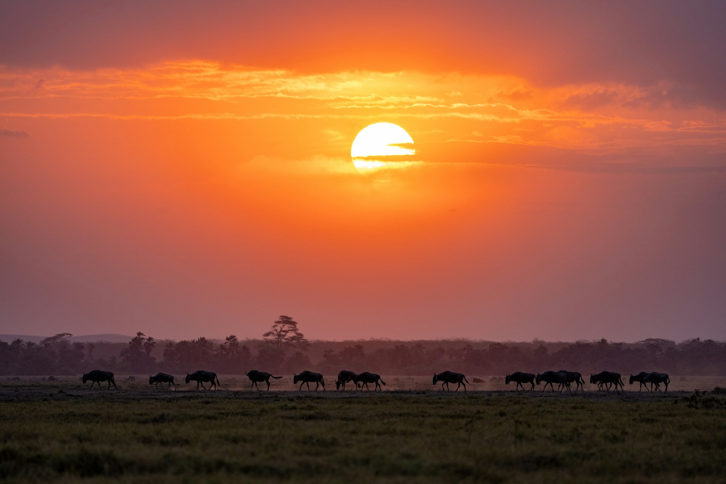 Kenyan sunset