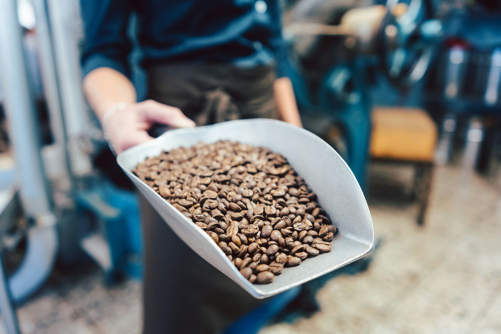 person holding coffee scoop out that is full of roasted coffee beans