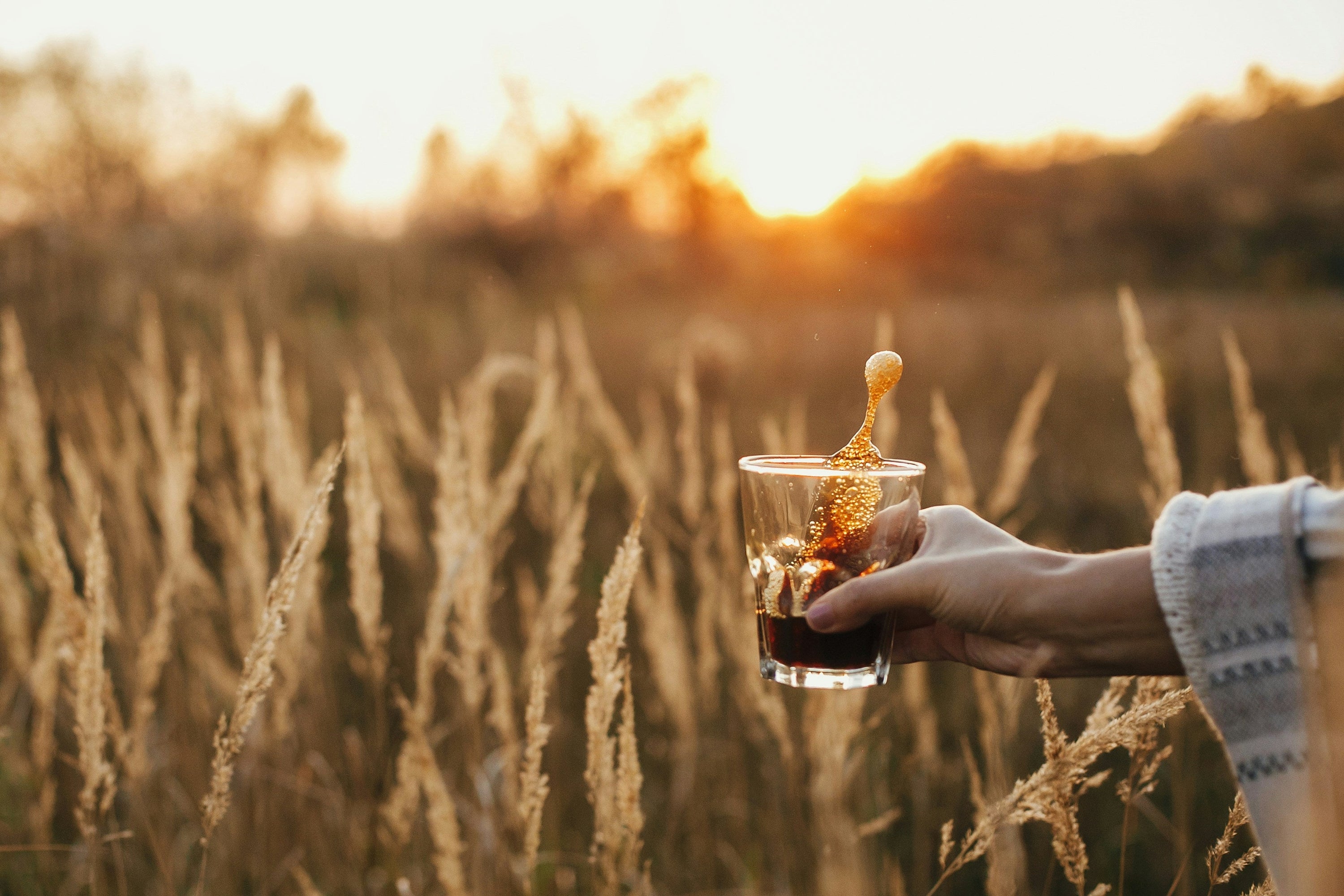 person holding coffee in wheat field