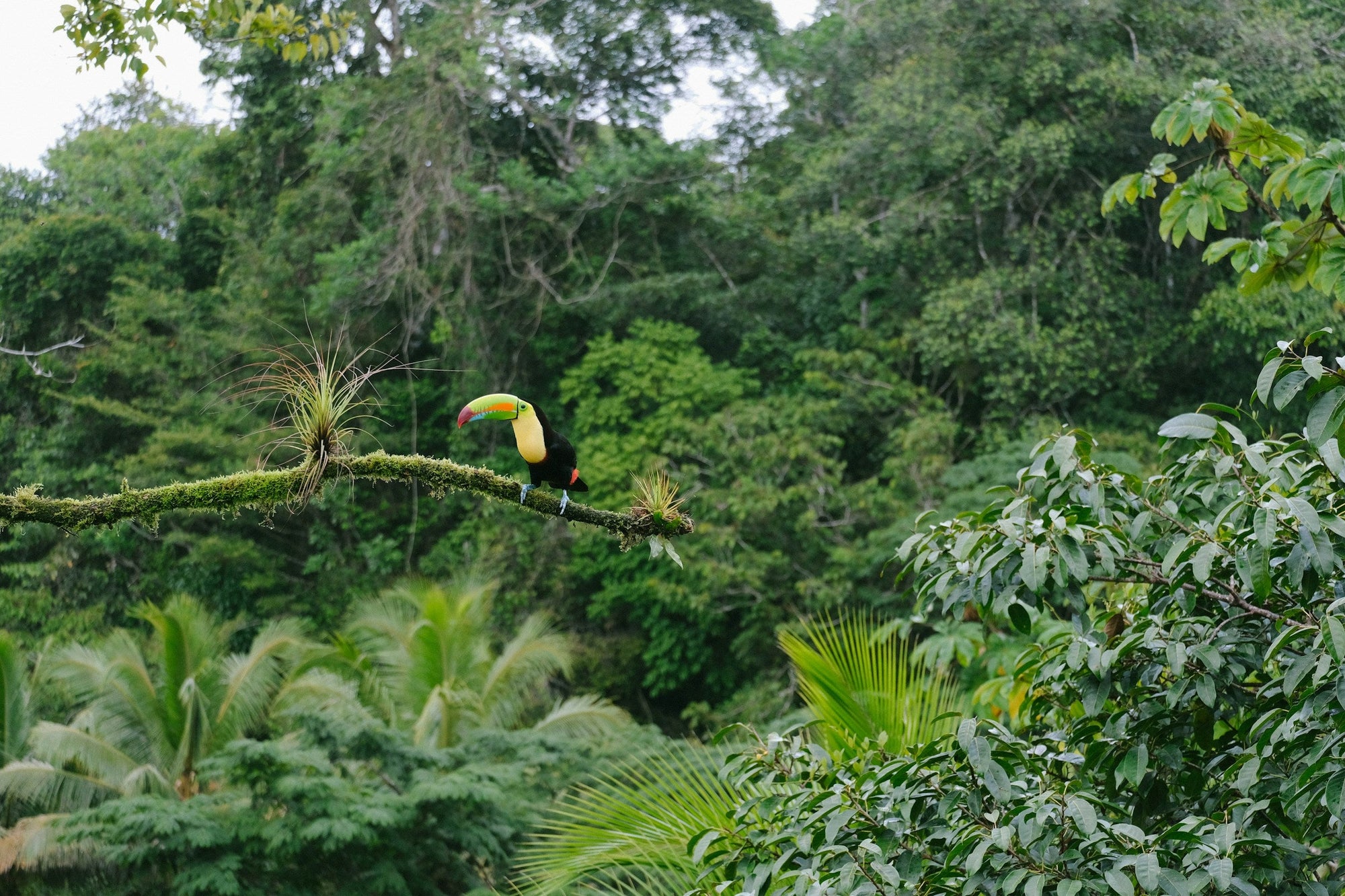 Papua New Guinea Eastern Highlands