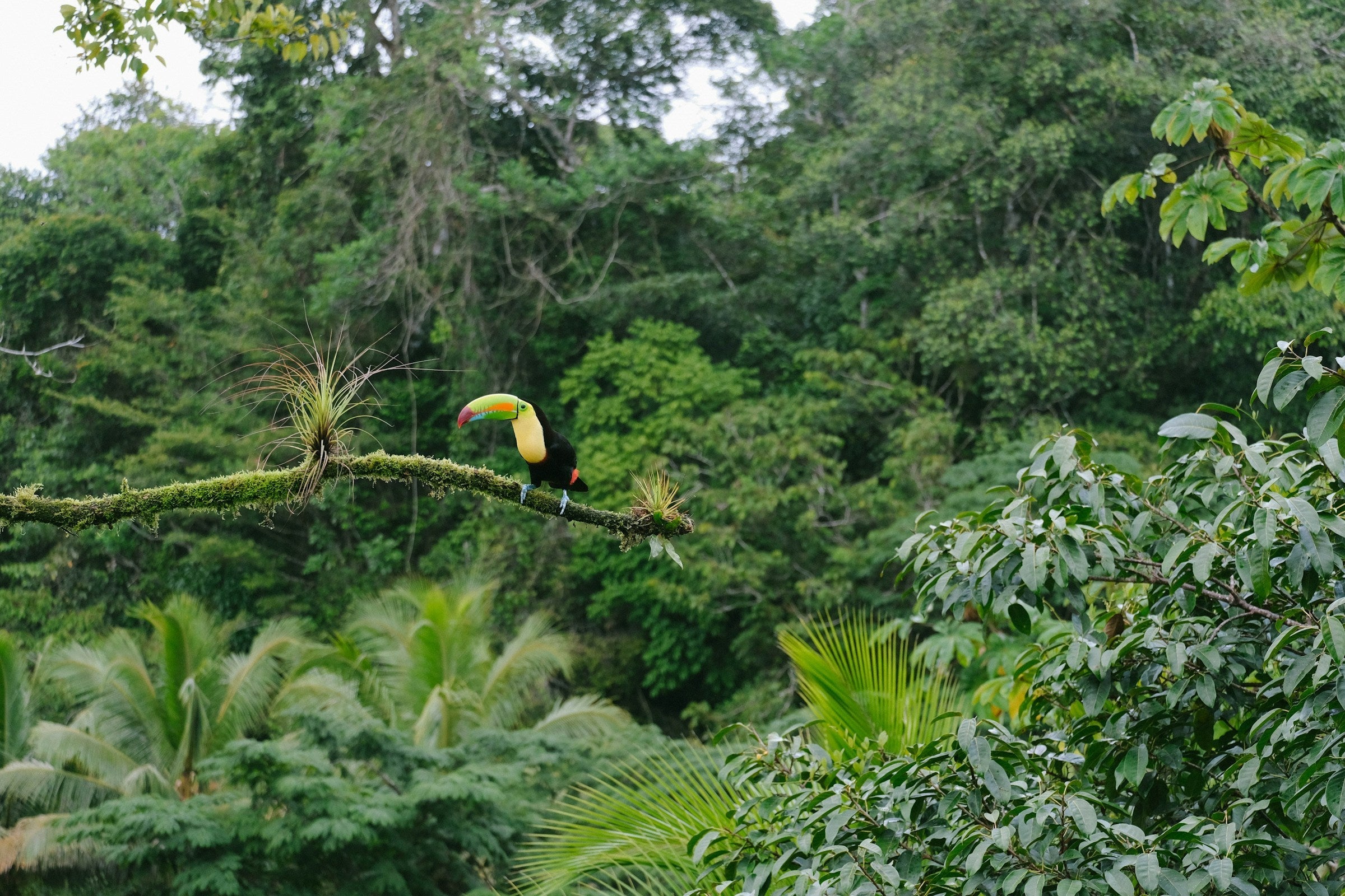 Papua New Guinea Eastern Highlands