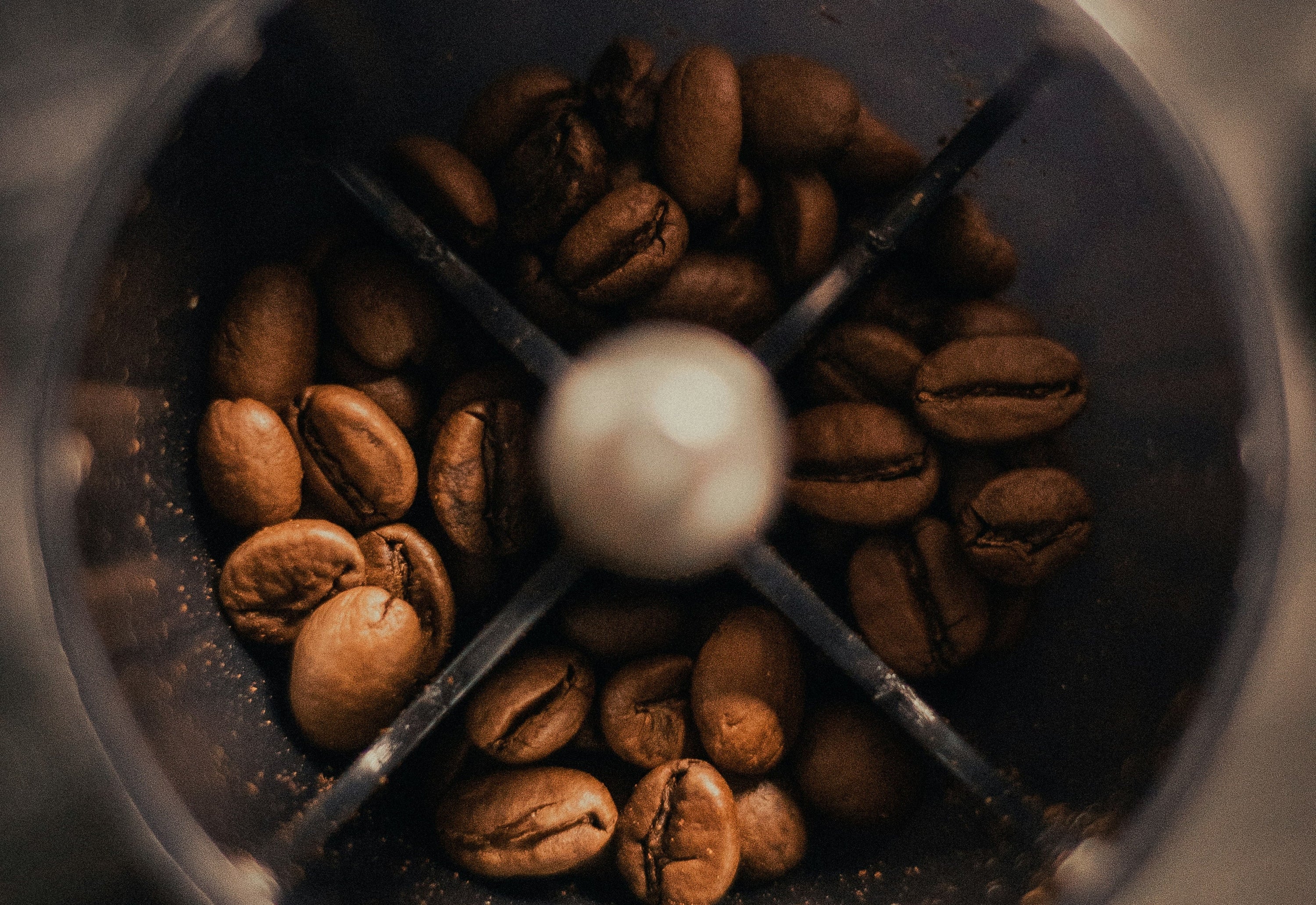 whole coffee beans sitting in handheld coffee burr grinder
