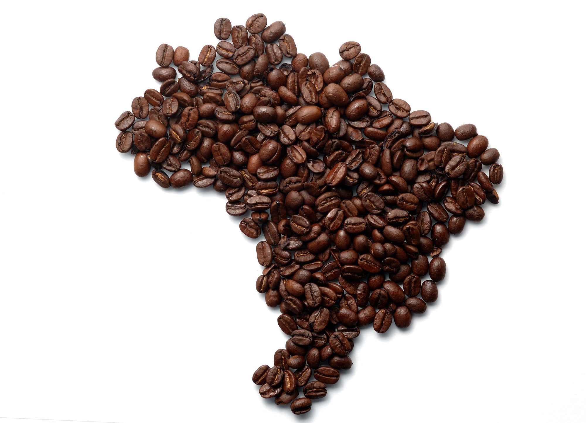 Map of Brazil made up of whole coffee beans on a white background