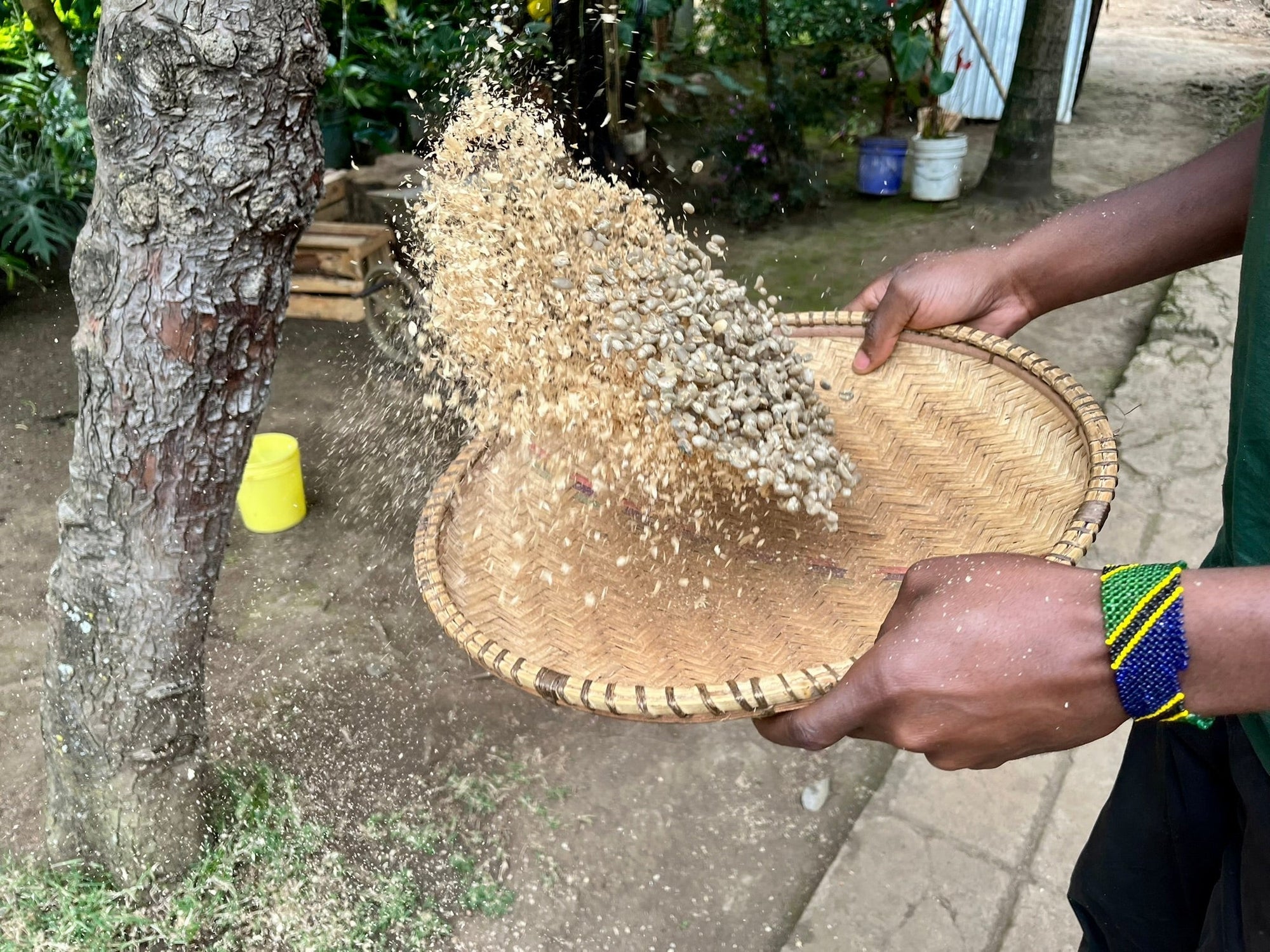 Coffee processing in Tanzania 
