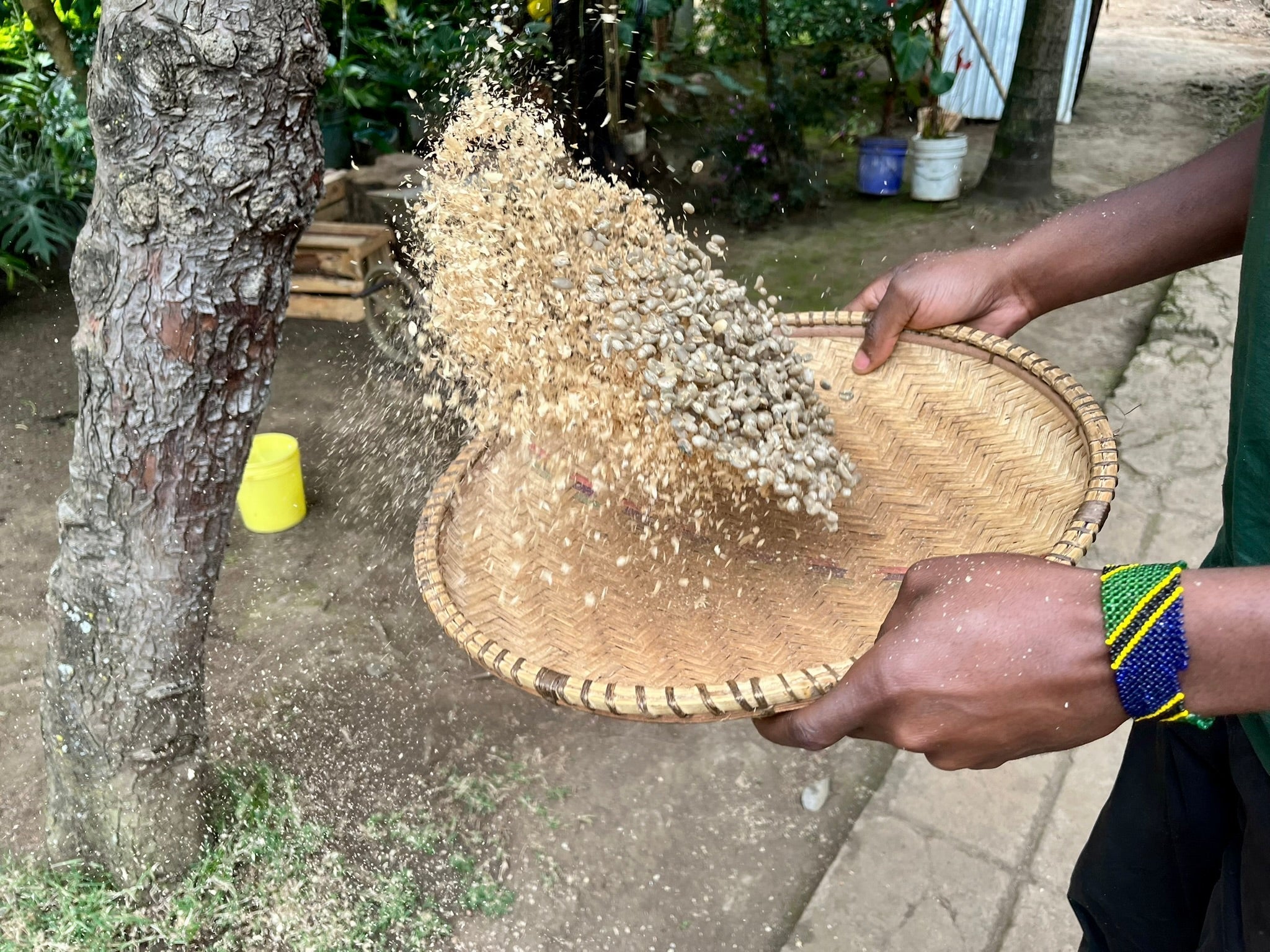 Coffee processing in Tanzania 