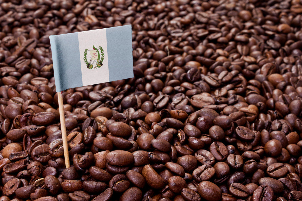 Flag of Guatemala sticking out of coffee beans