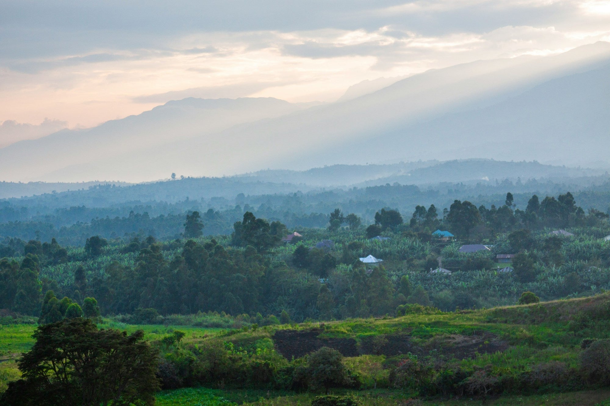 Mountainscape in Uganda