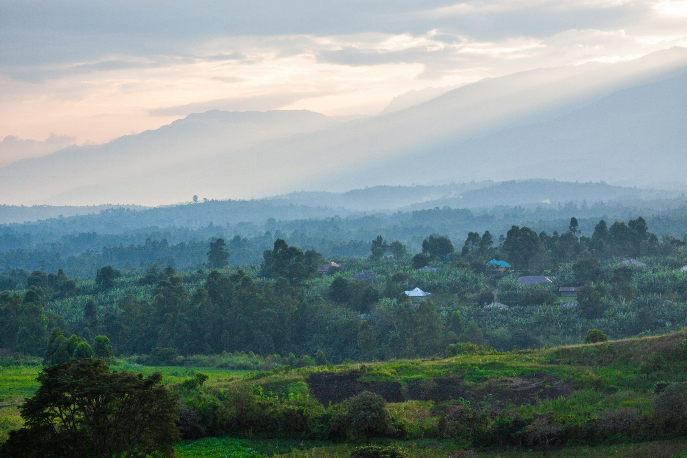 Mountainscape in Uganda