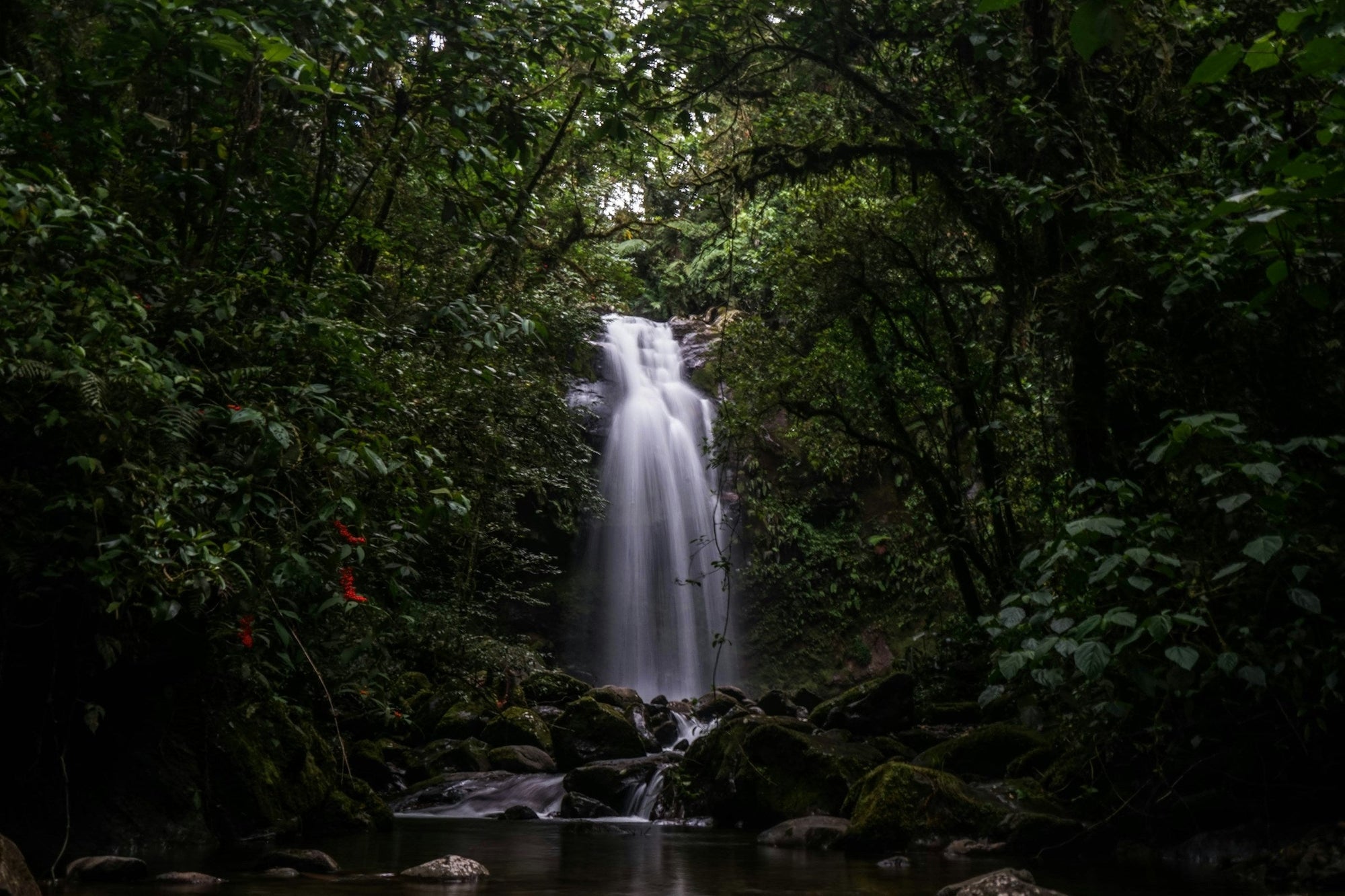 Panama Waterfall Tierras Atlas