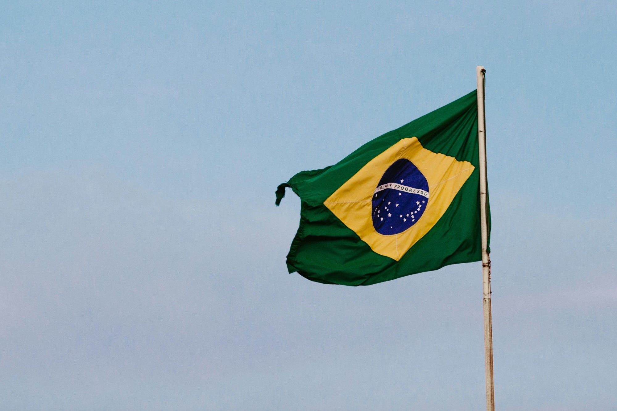 Brazil: The World's Largest Coffee Producer and Its Underrated Specialty Side
