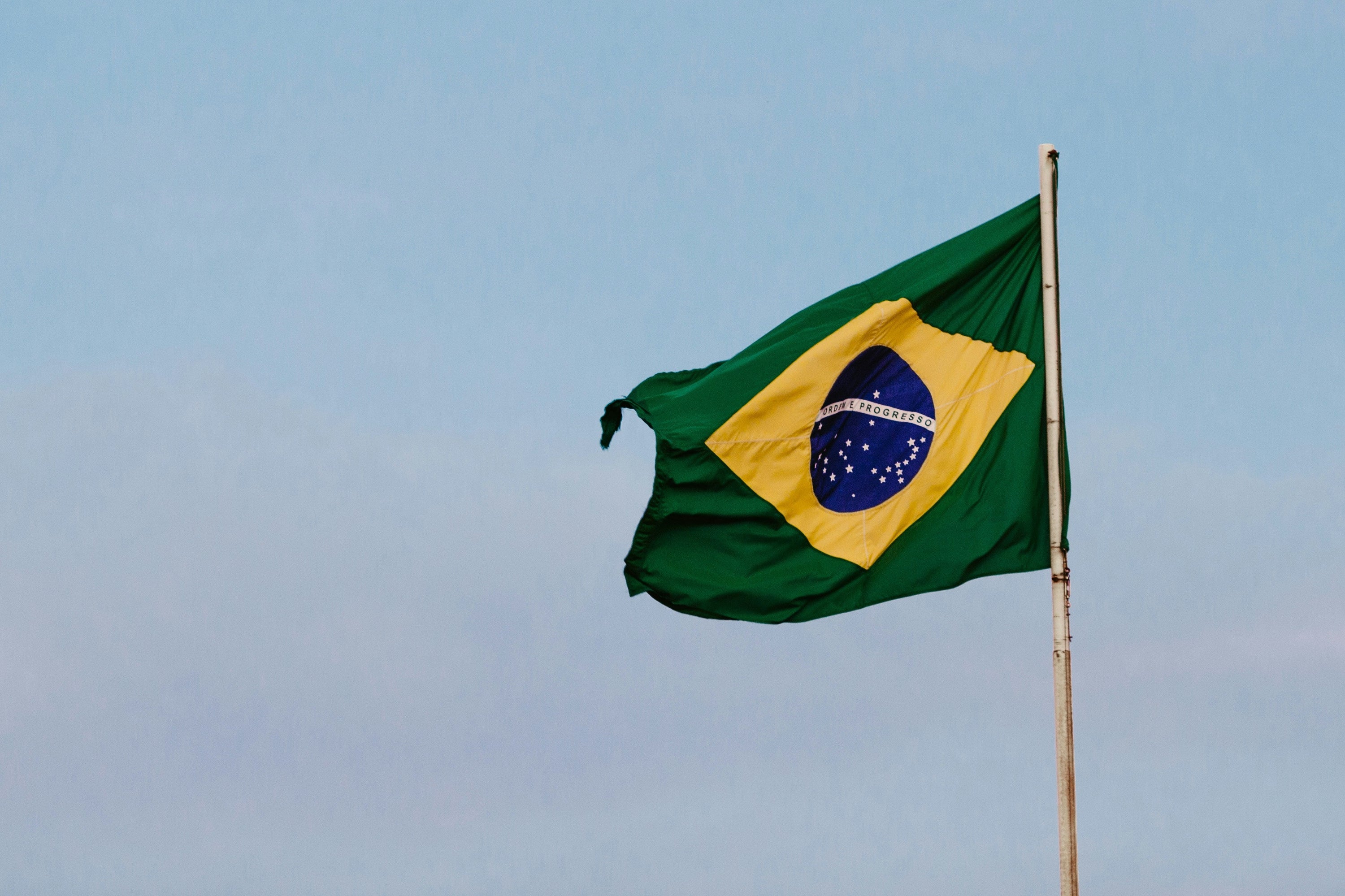 Brazil: The World's Largest Coffee Producer and Its Underrated Specialty Side