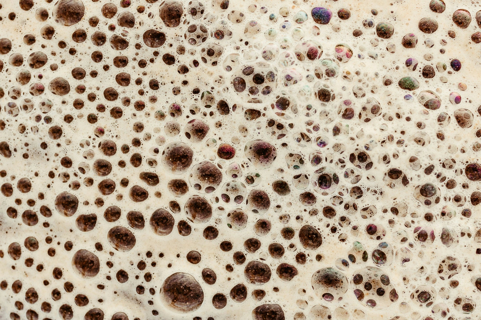 activated yeast blooming