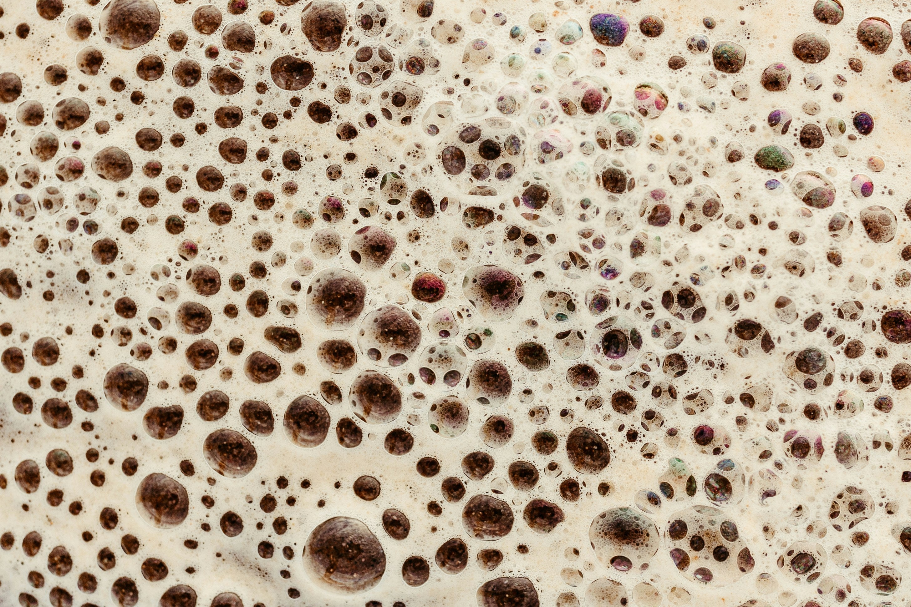 activated yeast blooming