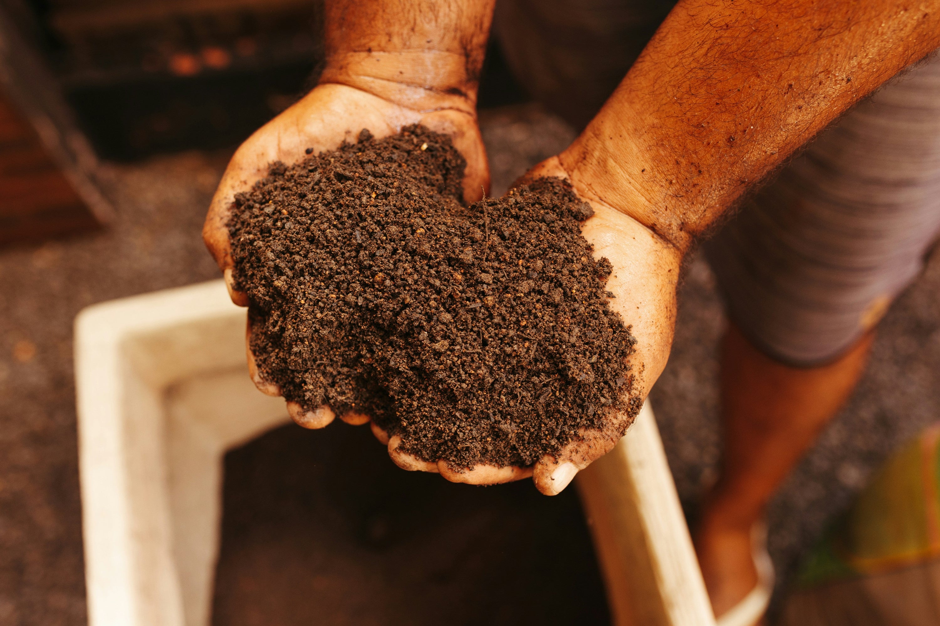 man holding dirt terroir
