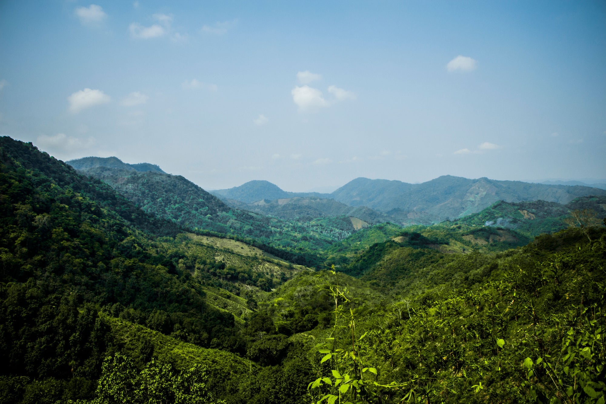 colombia andes verdant mountain scene with blue sky