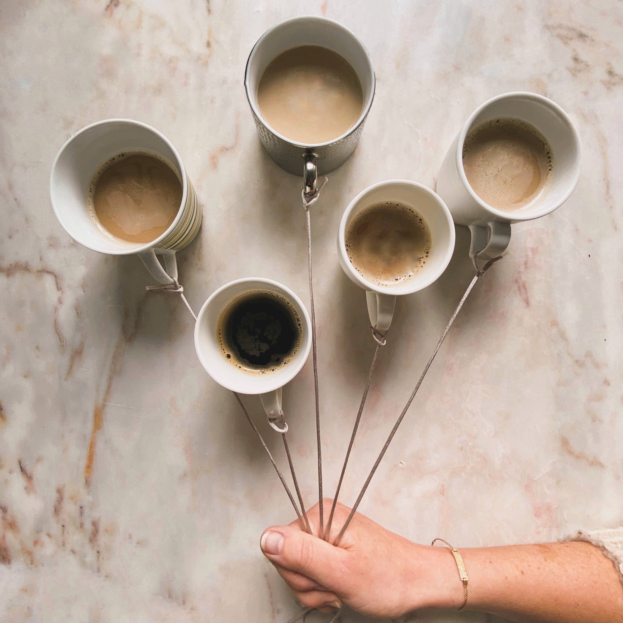 A Guide to Arabica, Robusta, Excelsa, and Liberica Coffees