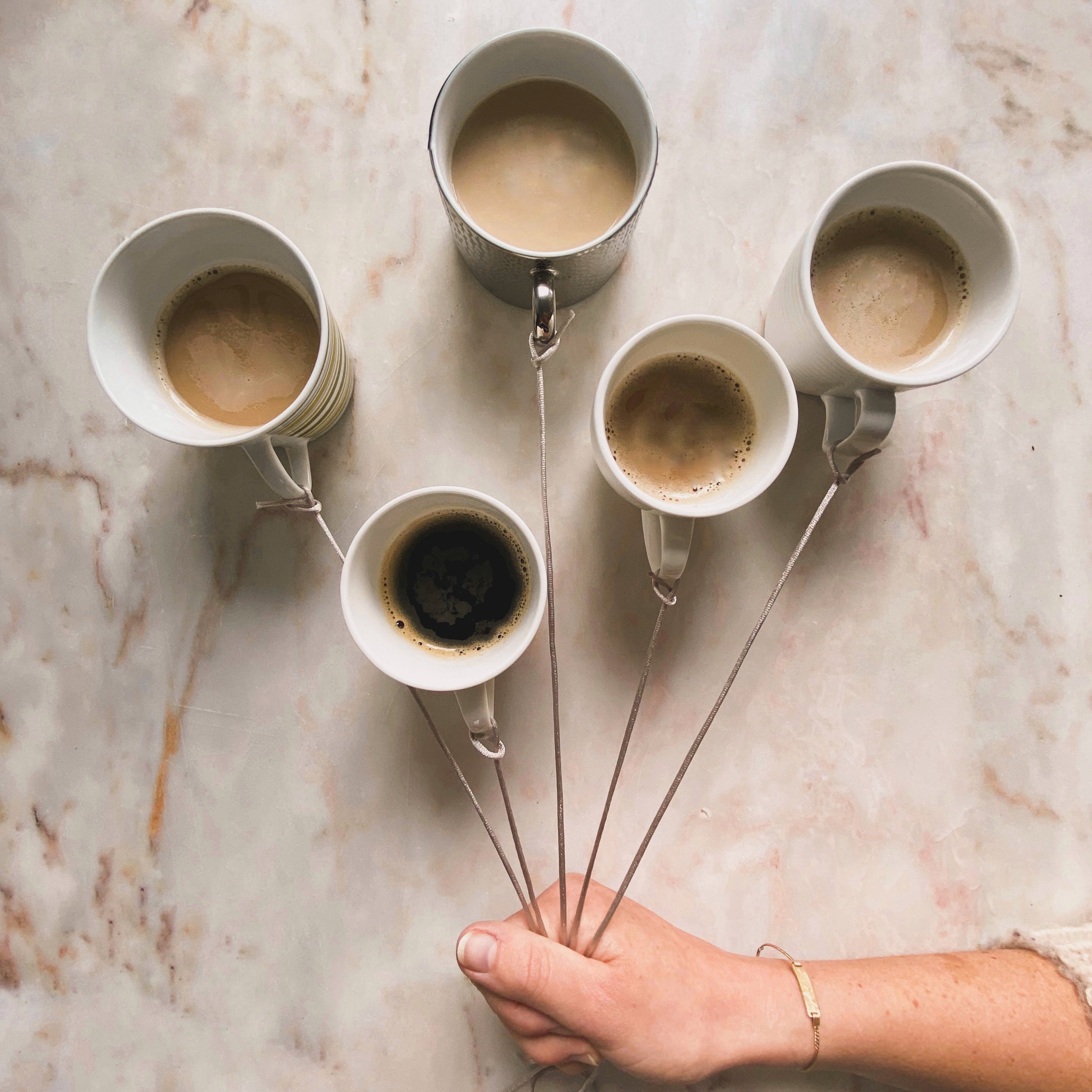 A Guide to Arabica, Robusta, Excelsa, and Liberica Coffees