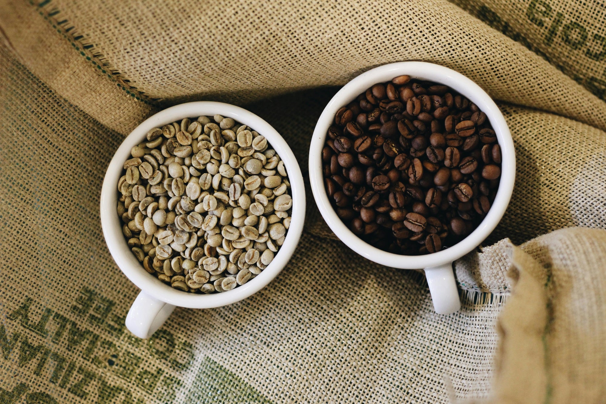 two cups of coffee beans sitting side by side on large coffee bags