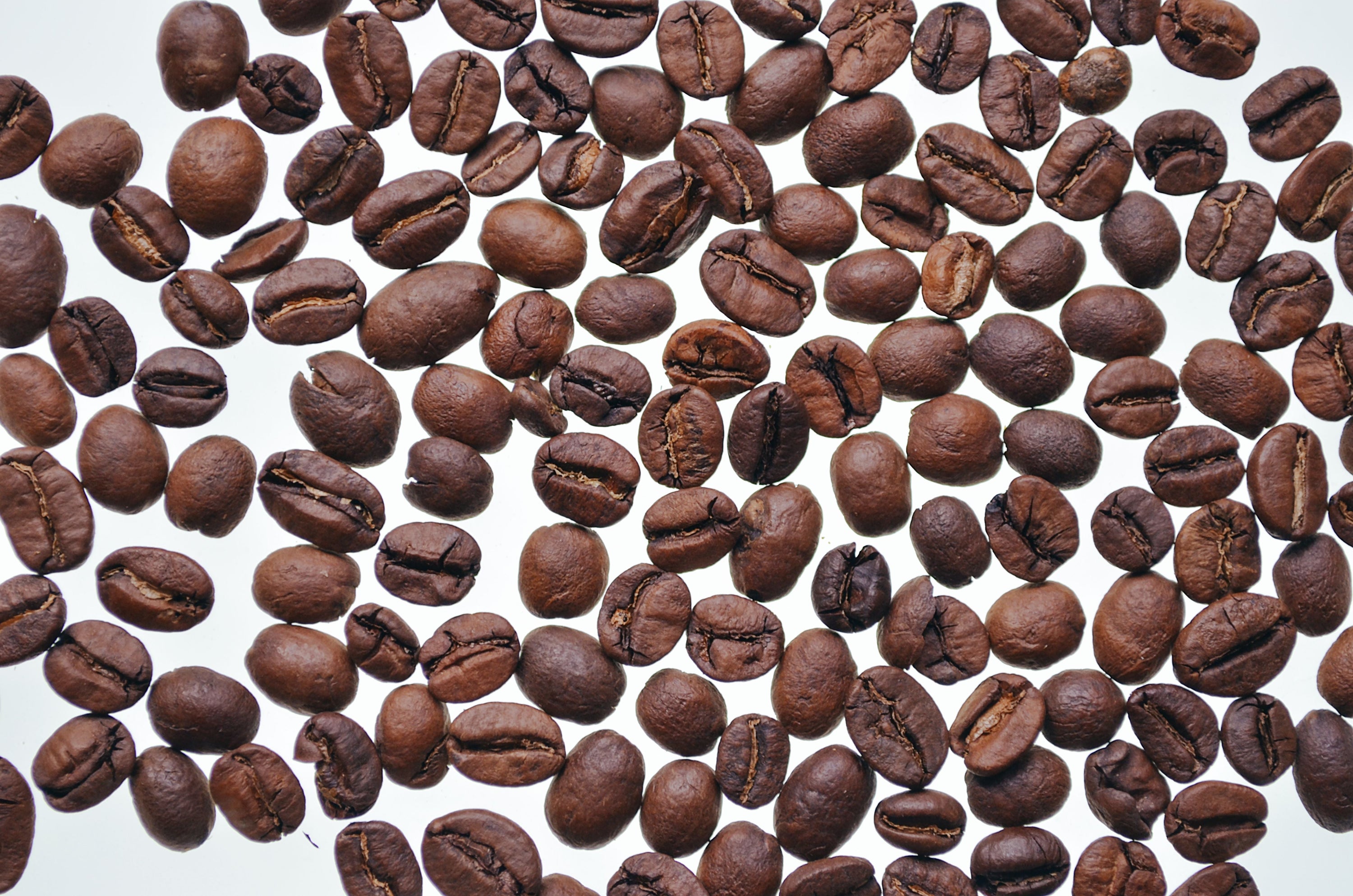 Arabica vs Robusta: What the Difference Actually Means