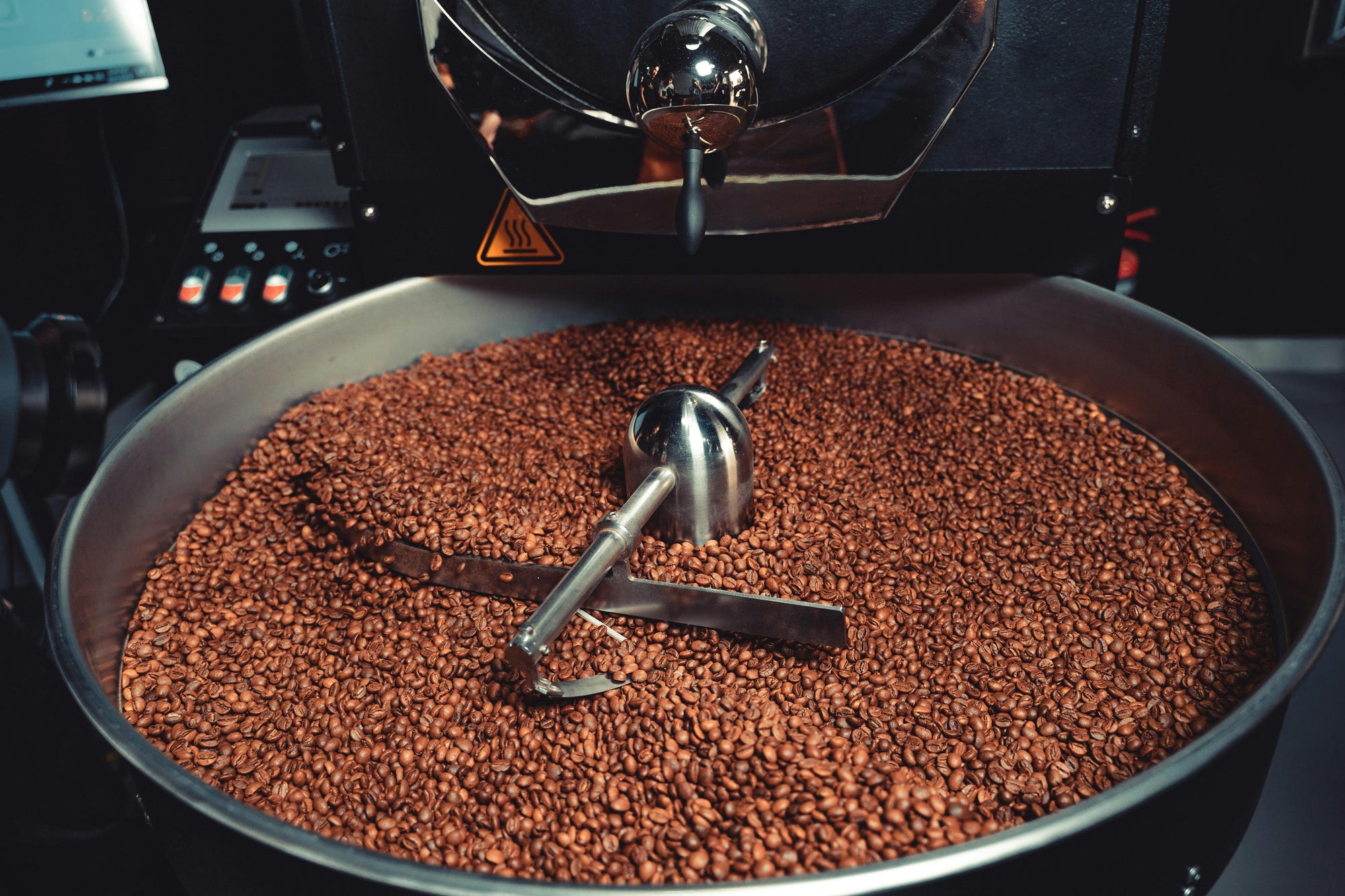 coffee beans in the cooling tray of a coffee roasting machine