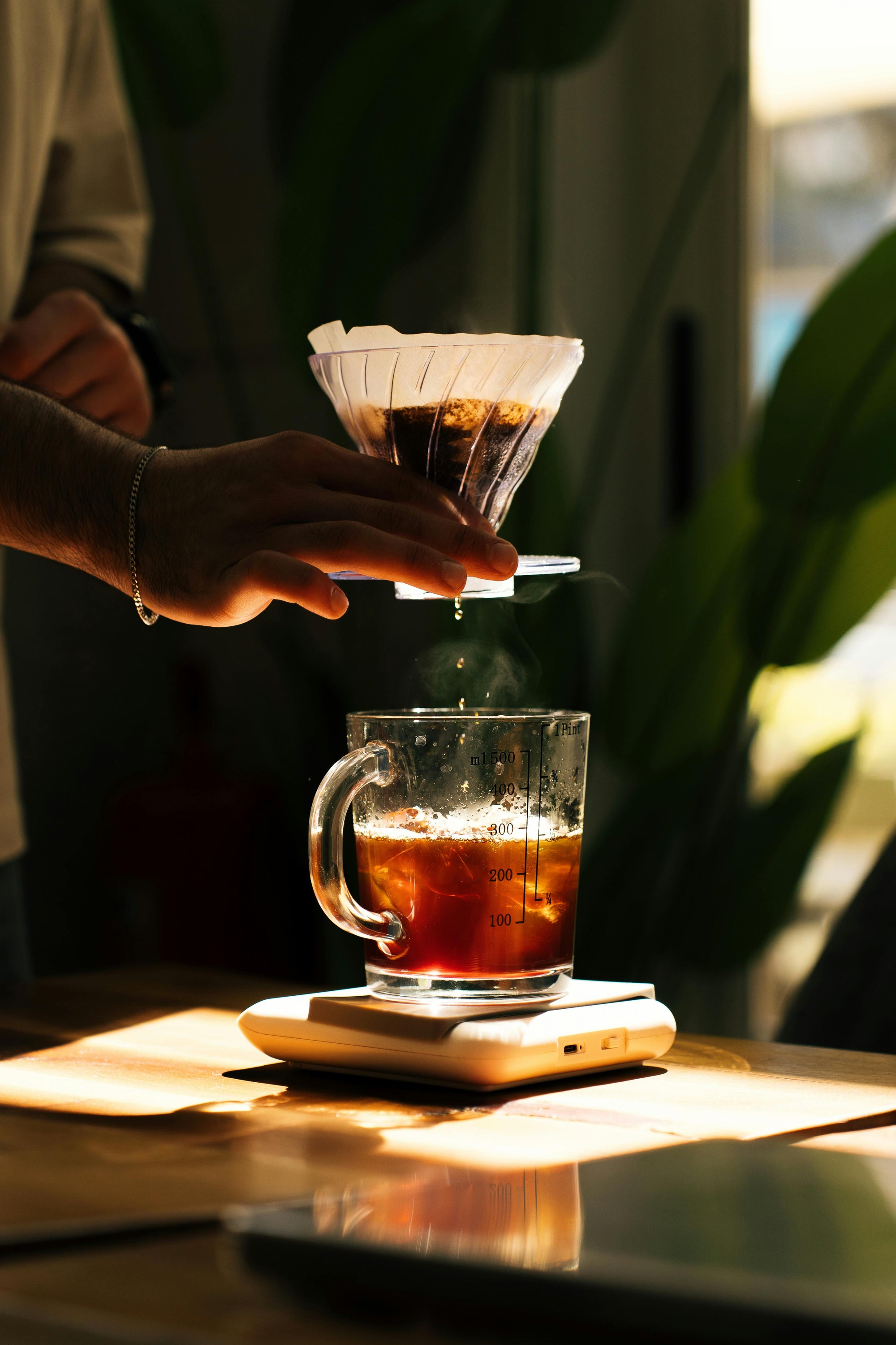 pour over coffee dripping into cup surrounded by sunlight