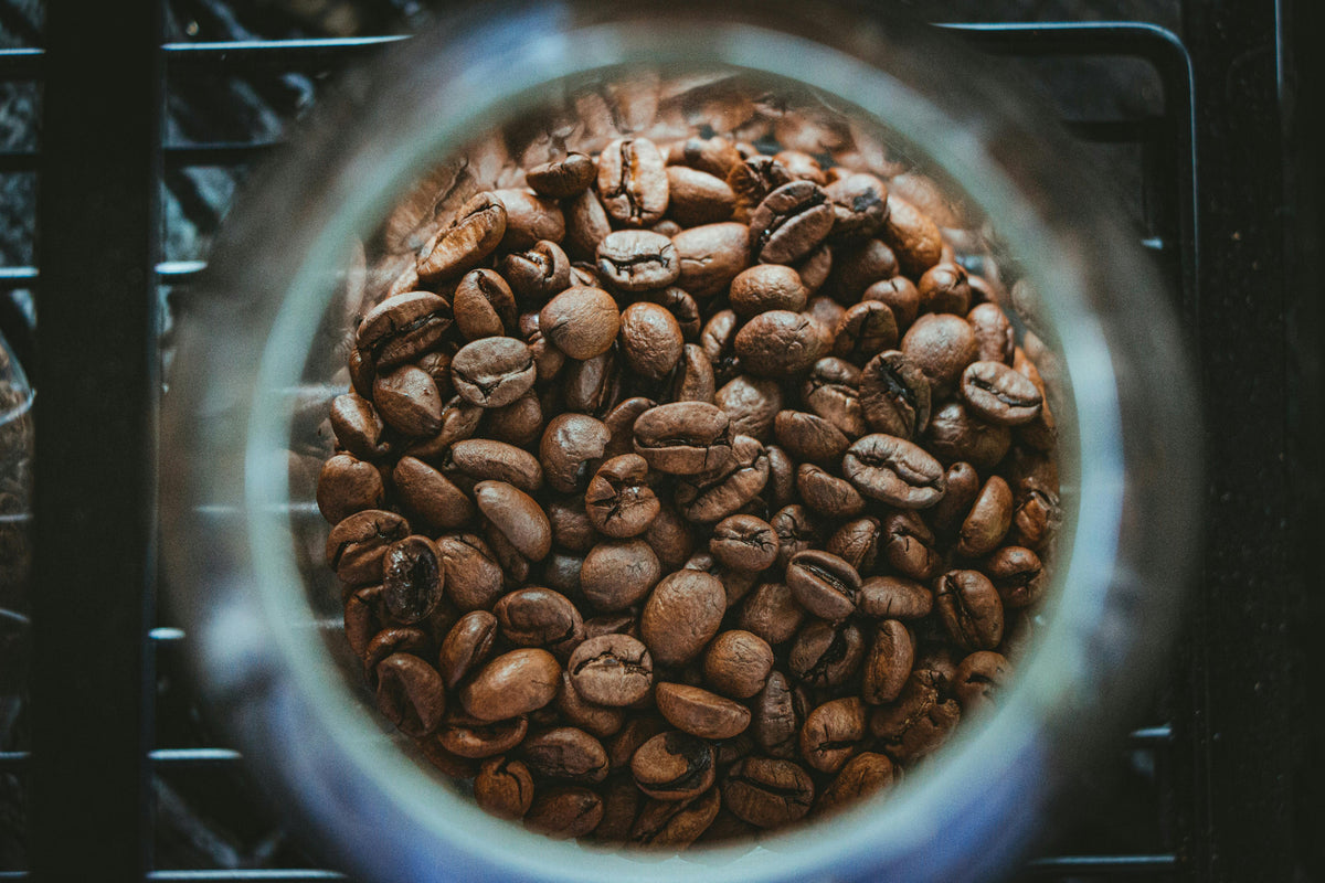 overhead photo looking down into coffee storage container holding whole coffee beans