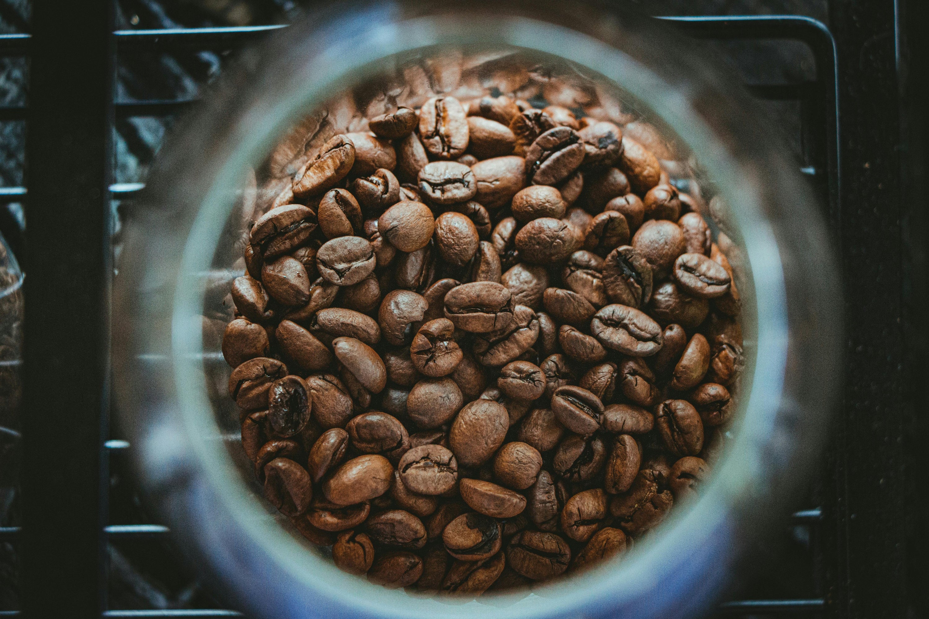 overhead photo looking down into coffee storage container holding whole coffee beans