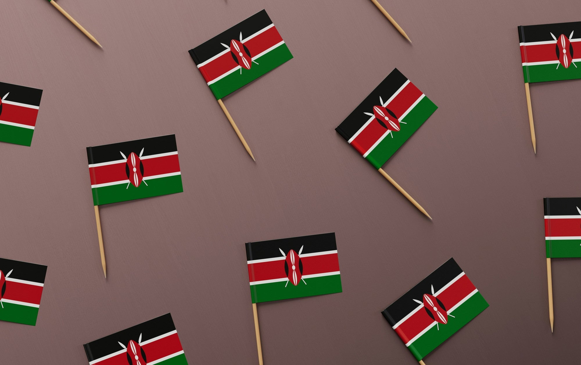 Murang'a Coffee: Kenya's Central Highland Gateway and the Balanced Washed Cup