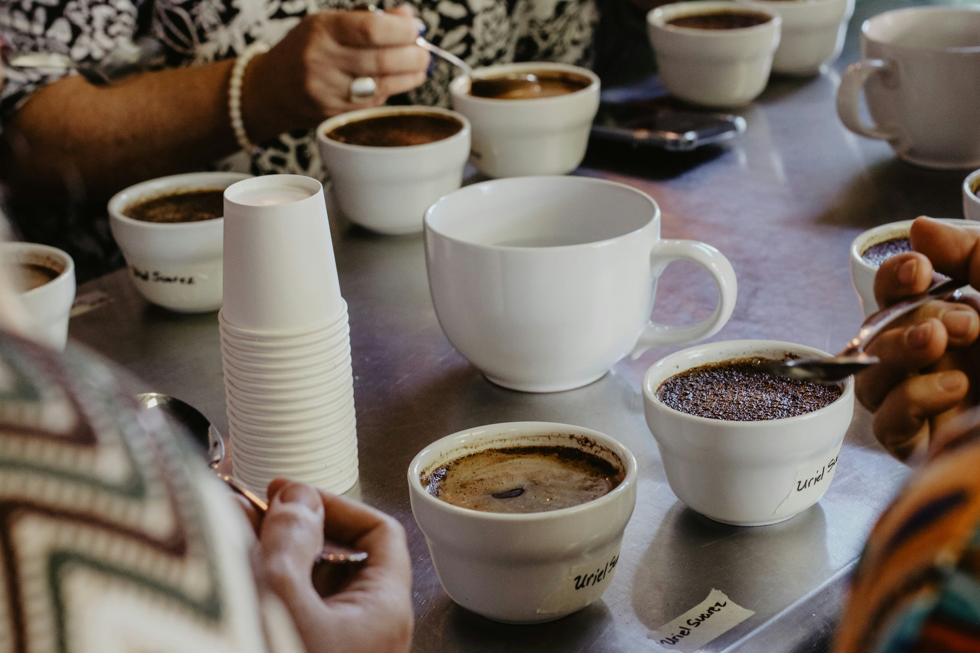 coffee tasting cupping